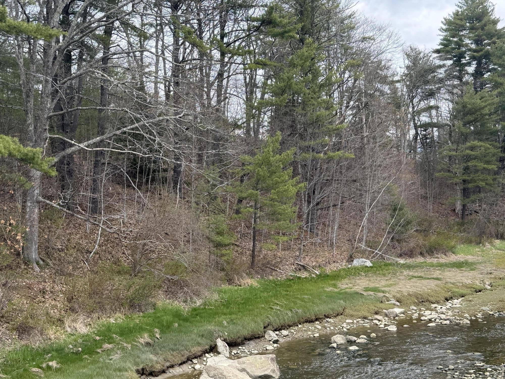 Lot R05129 Polly Clark Brook