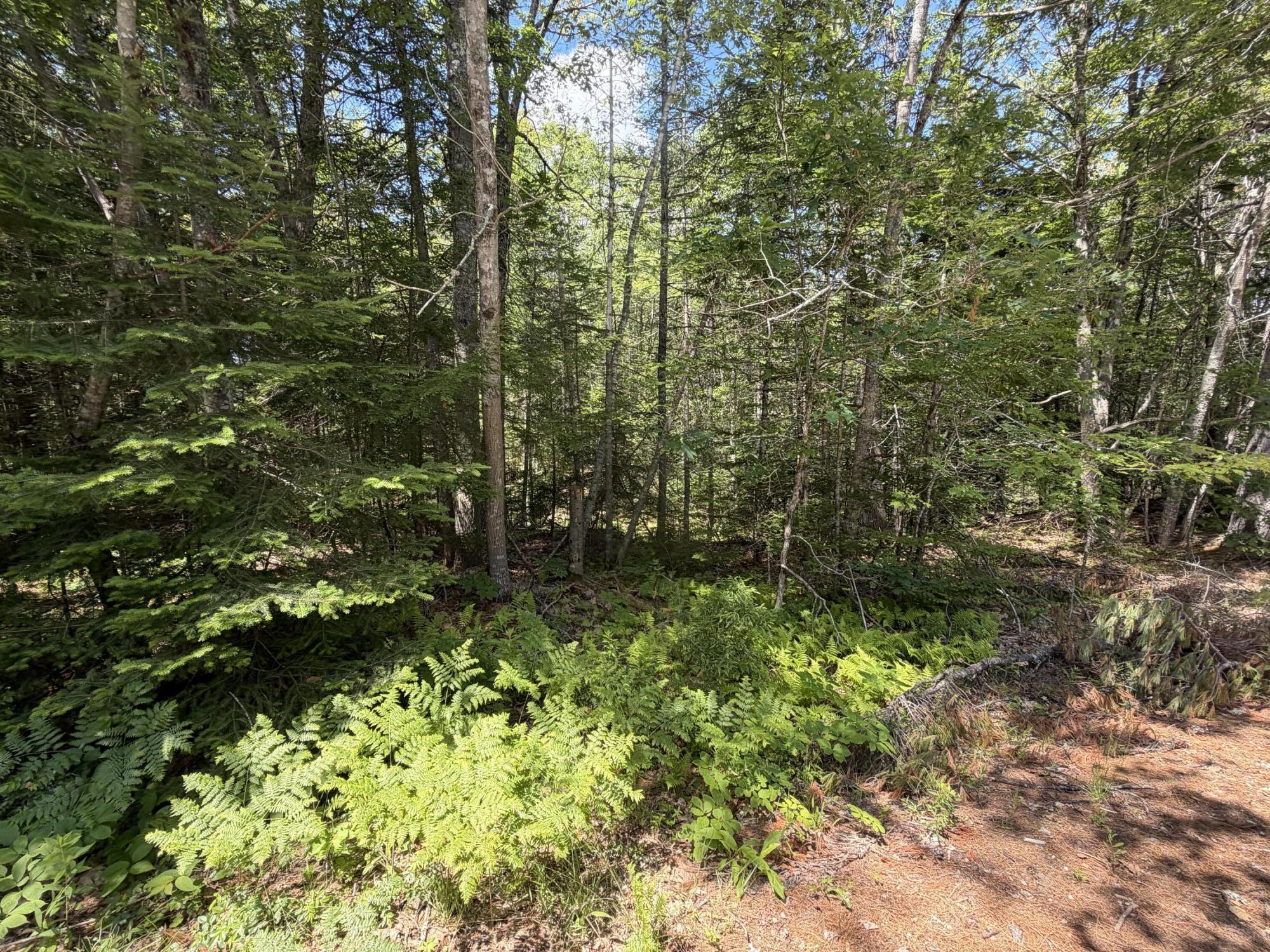 Lot R05129 Polly Clark Brook