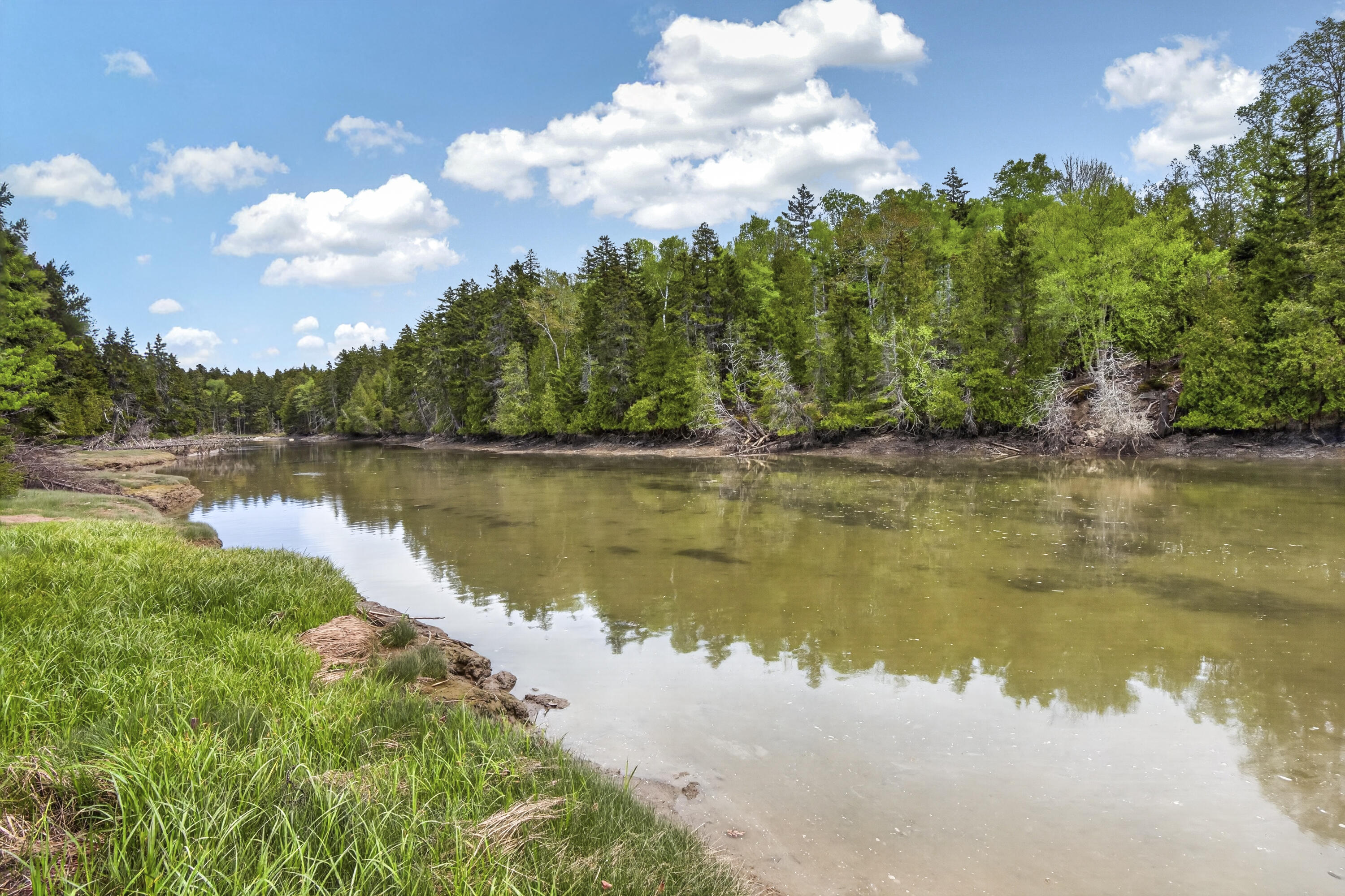 239 Mill Creek Road