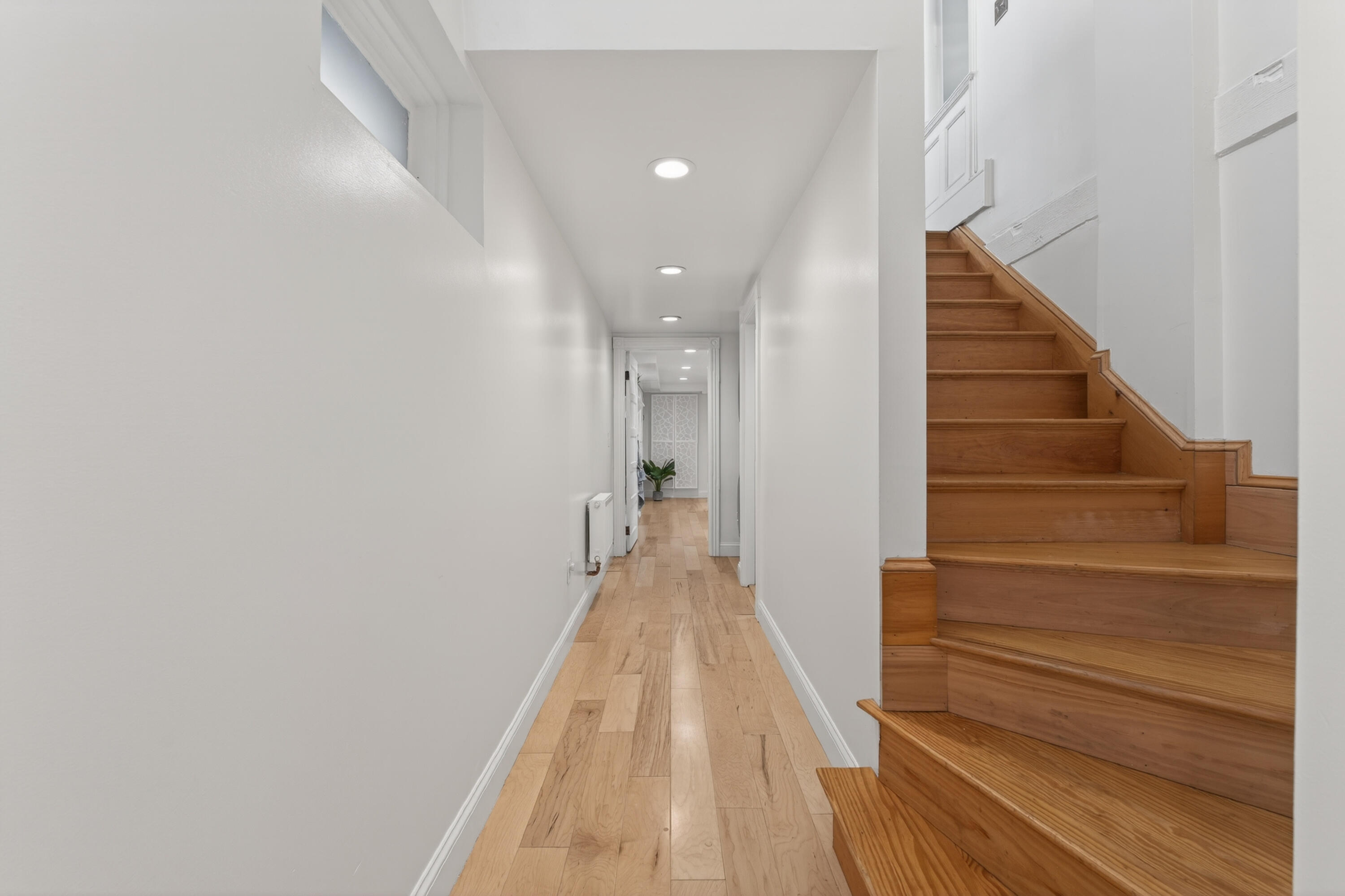 20 Dow Street 1