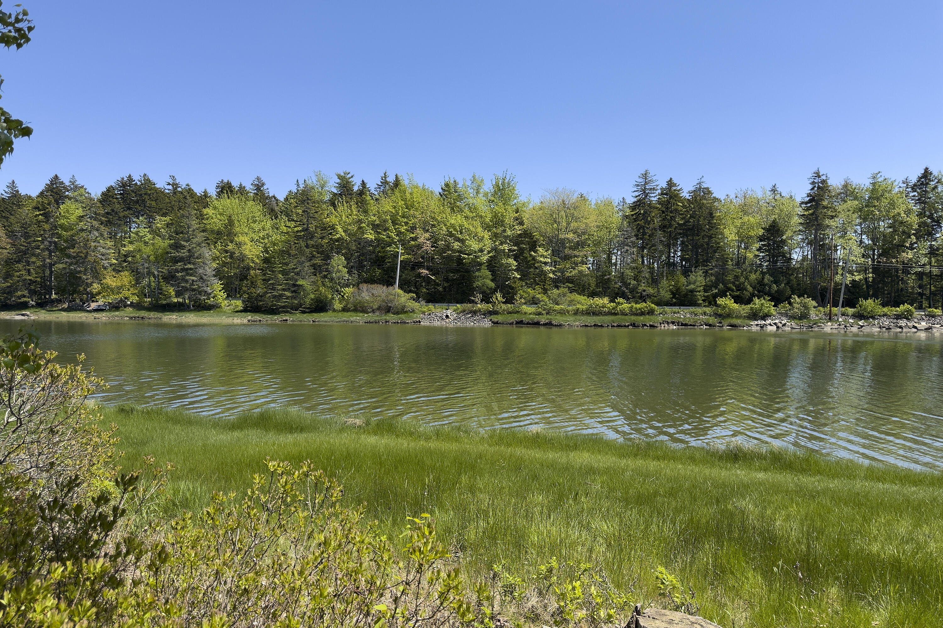 441 Seal Harbor Road