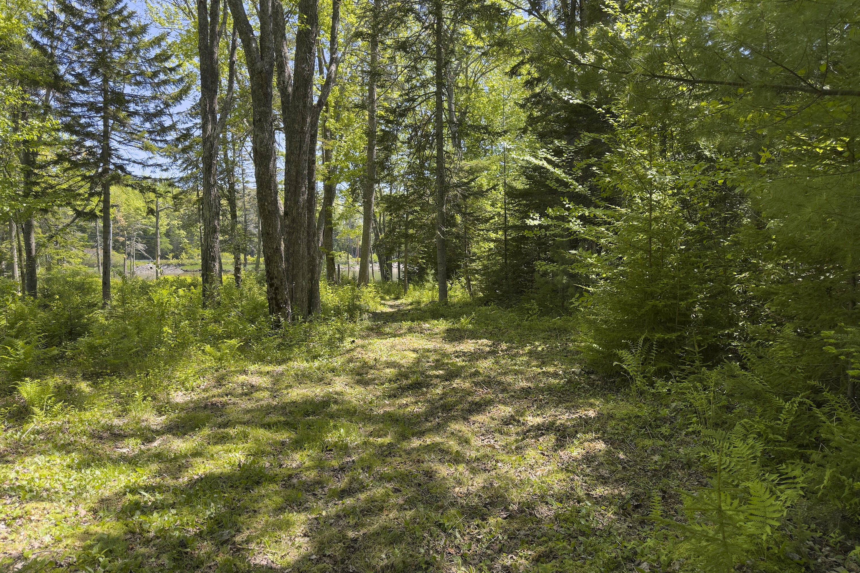 441 Seal Harbor Road