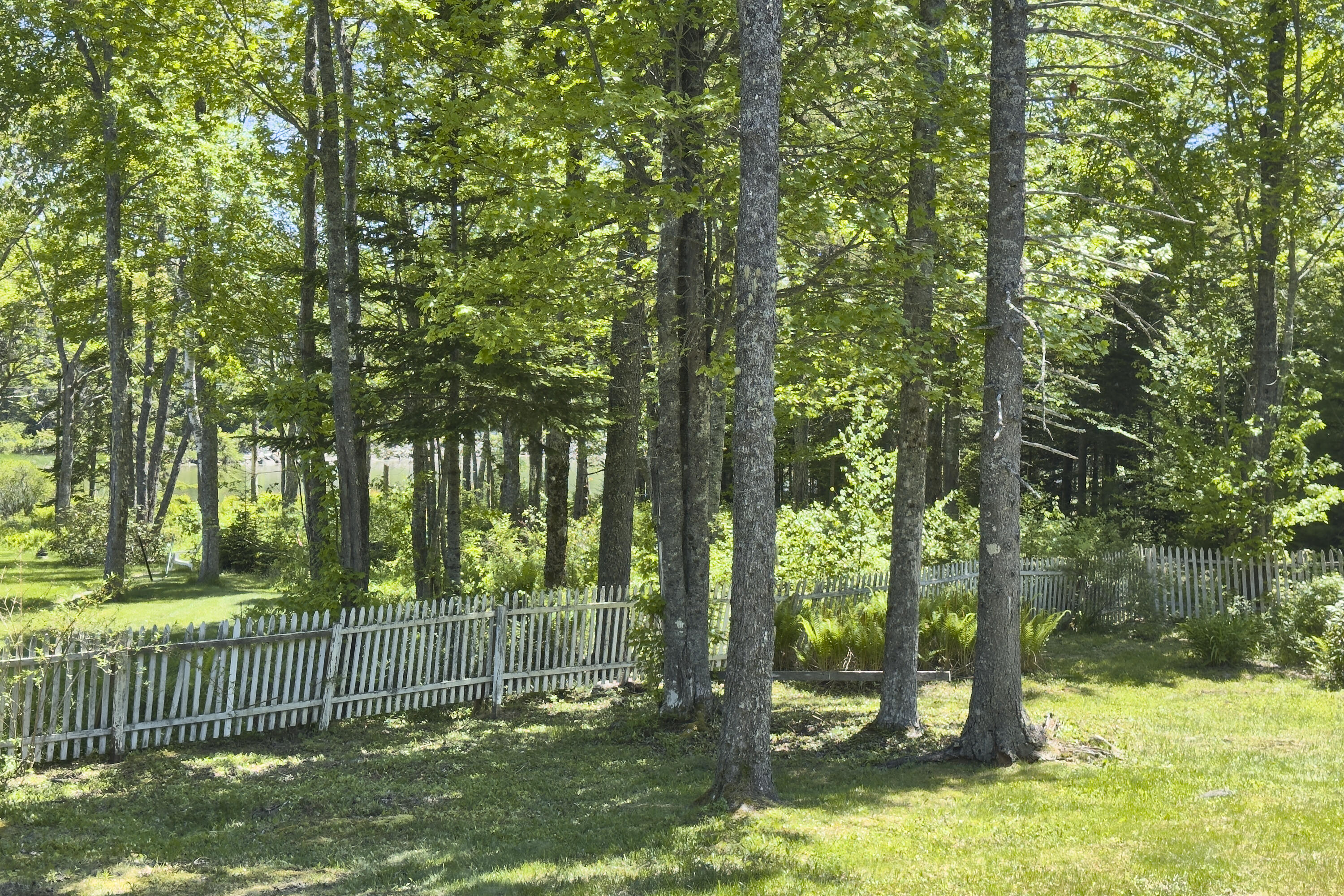 441 Seal Harbor Road