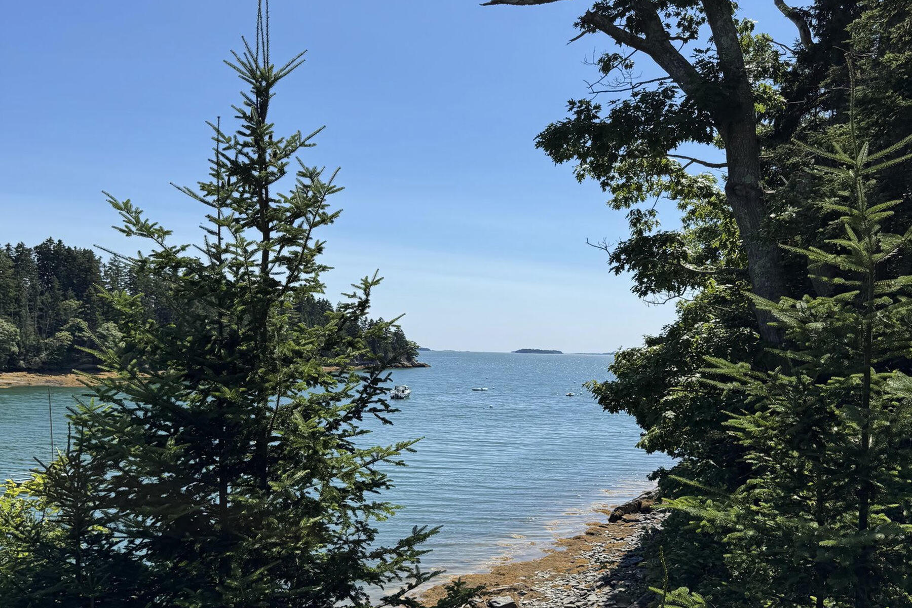 39 Birch Island S Street