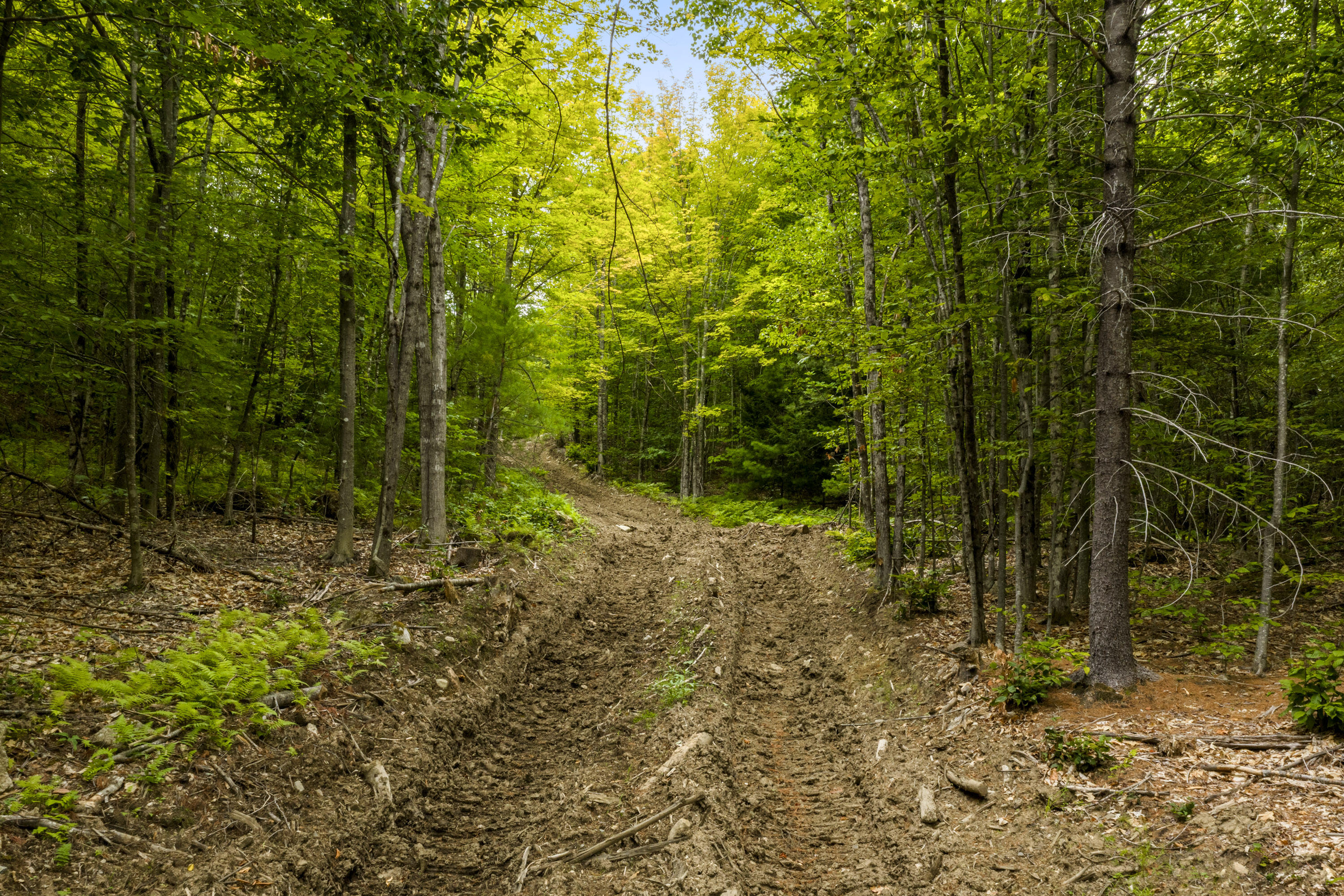 Lot 28 South Bridgton Road