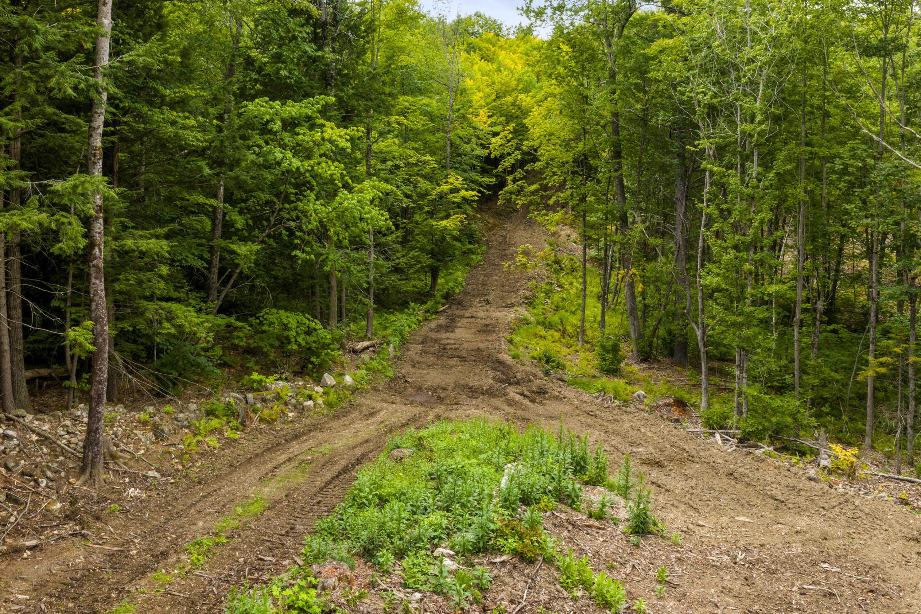 Lot 28 South Bridgton Road