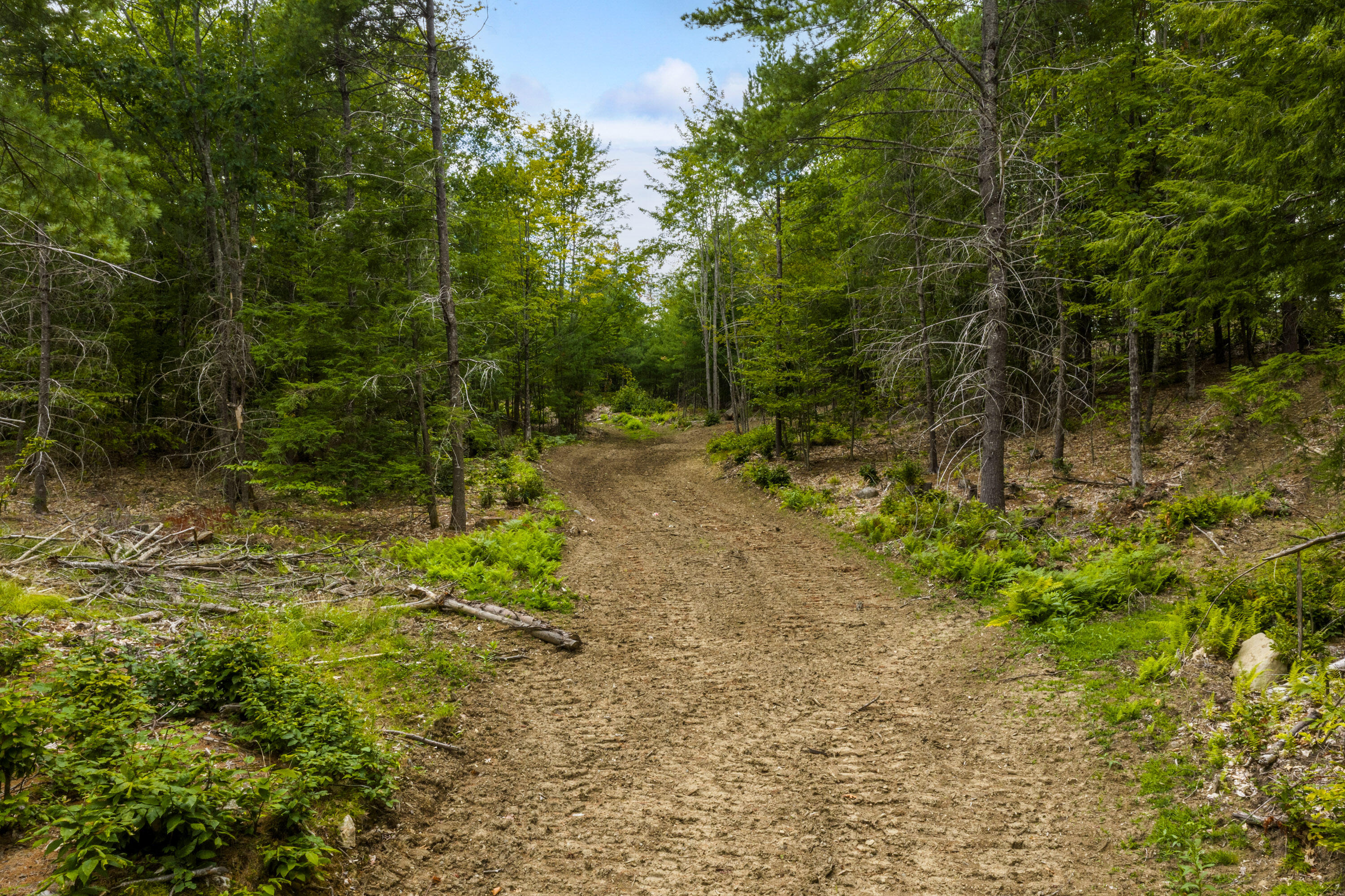 Lot 28 South Bridgton Road
