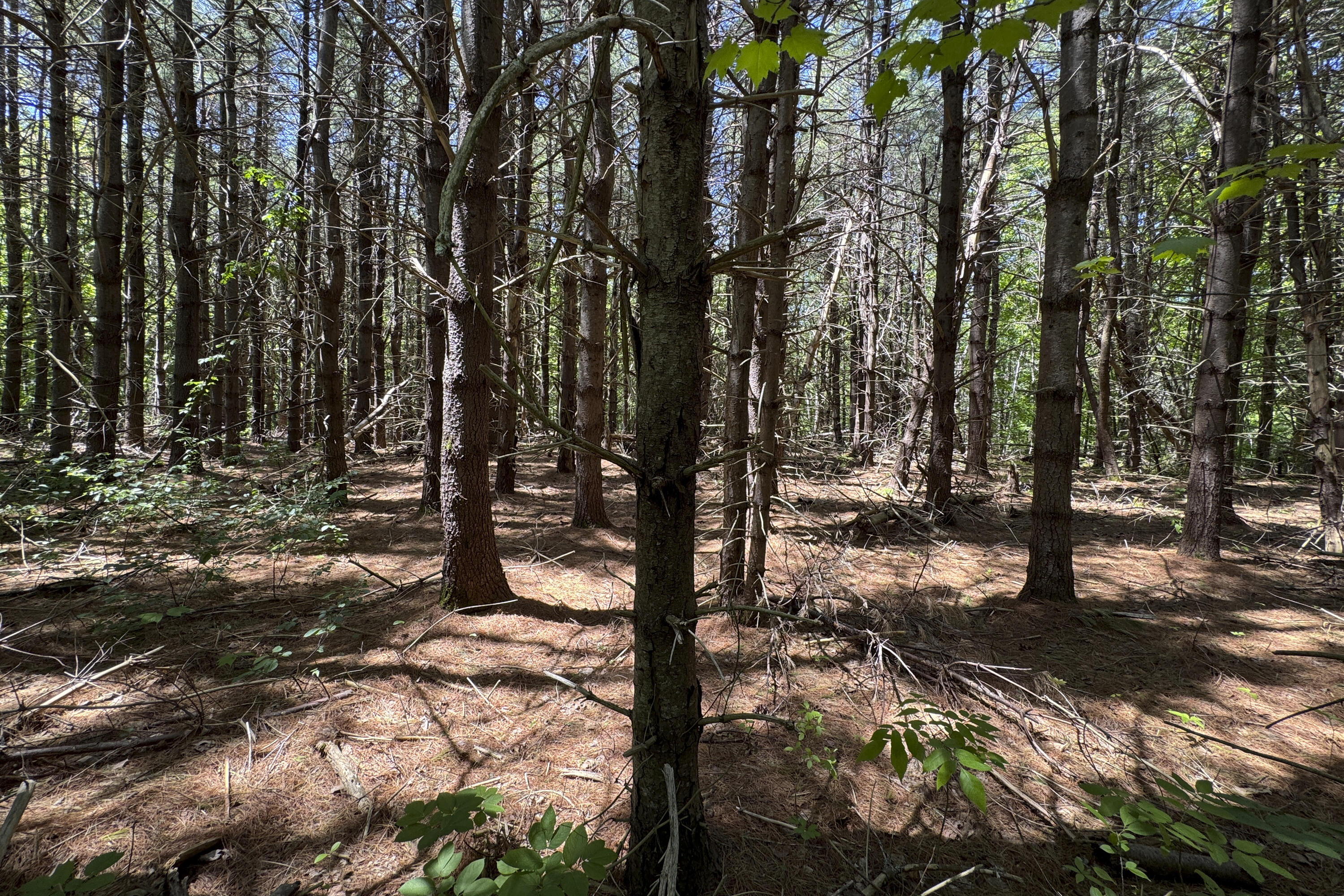 lot 14 Mountain View Lane