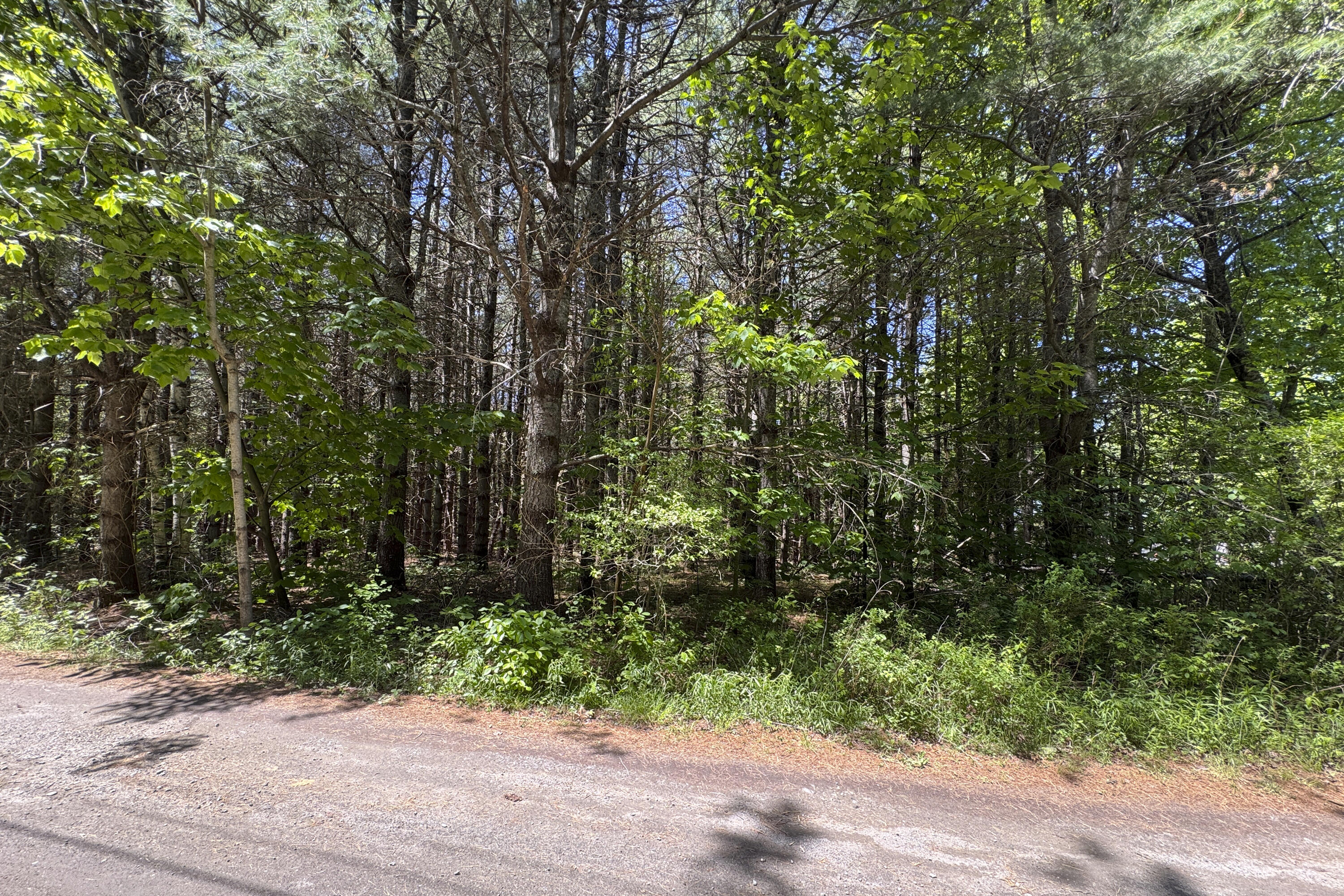 lot 14 Mountain View Lane