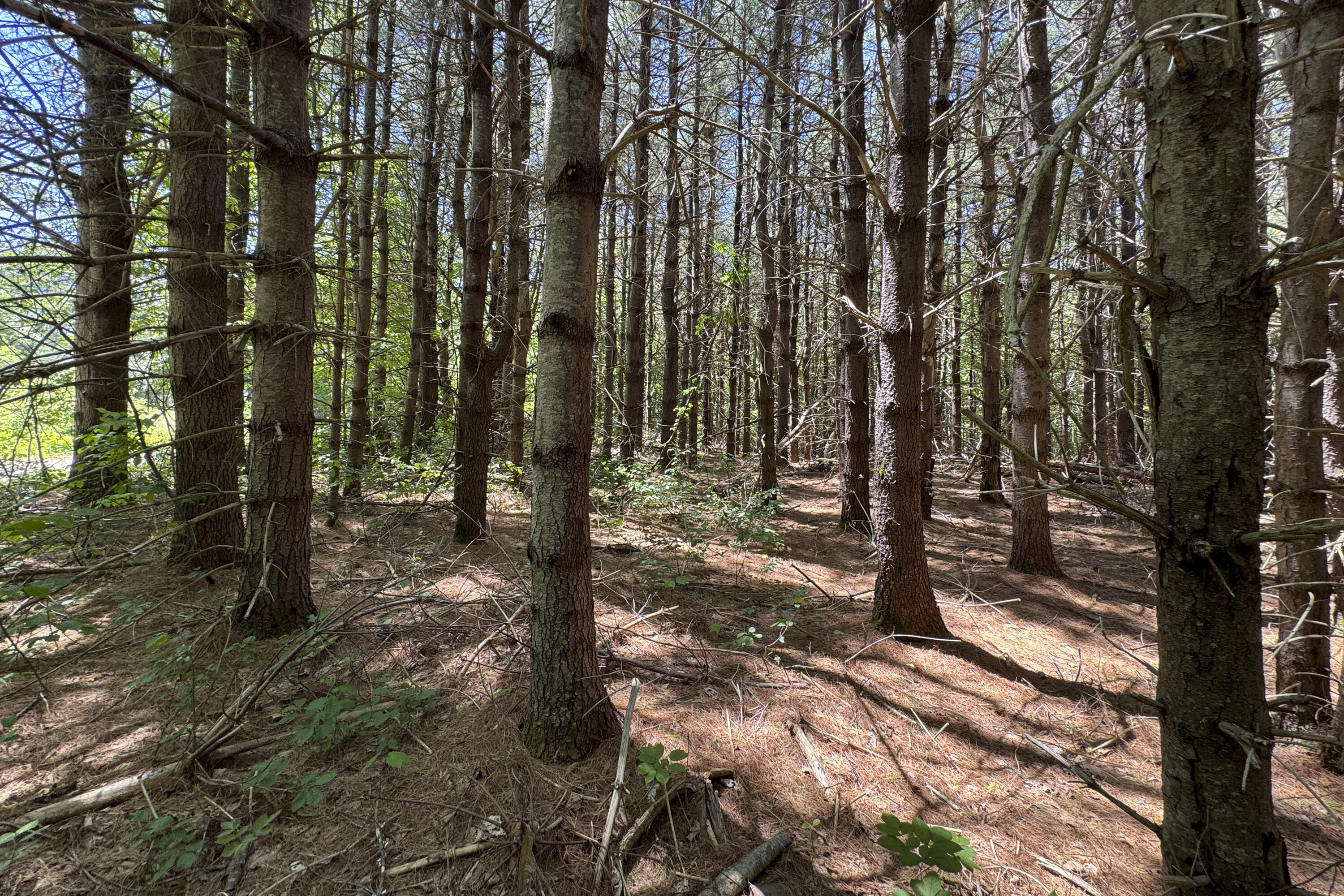 lot 14 Mountain View Lane
