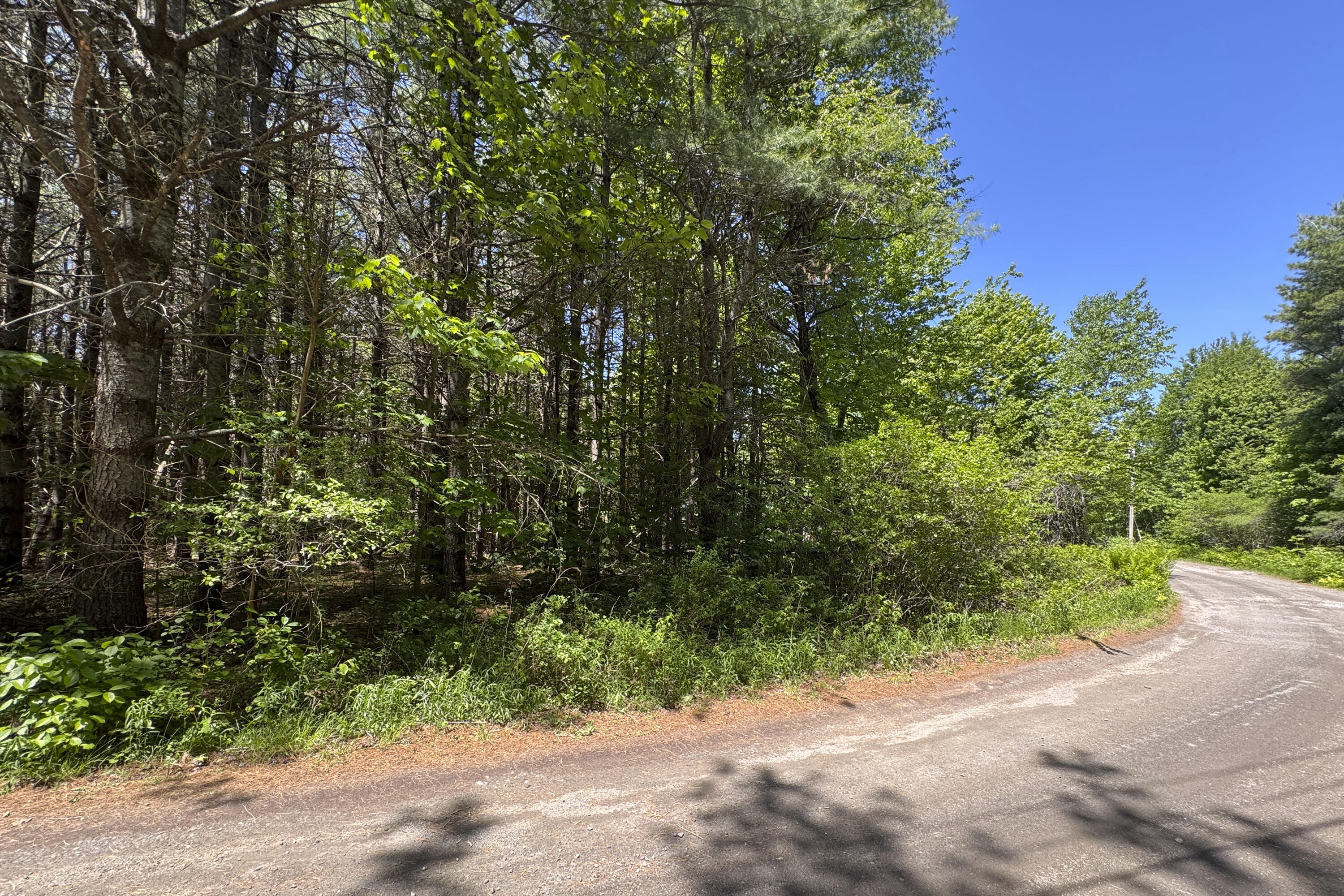 lot 14 Mountain View Lane