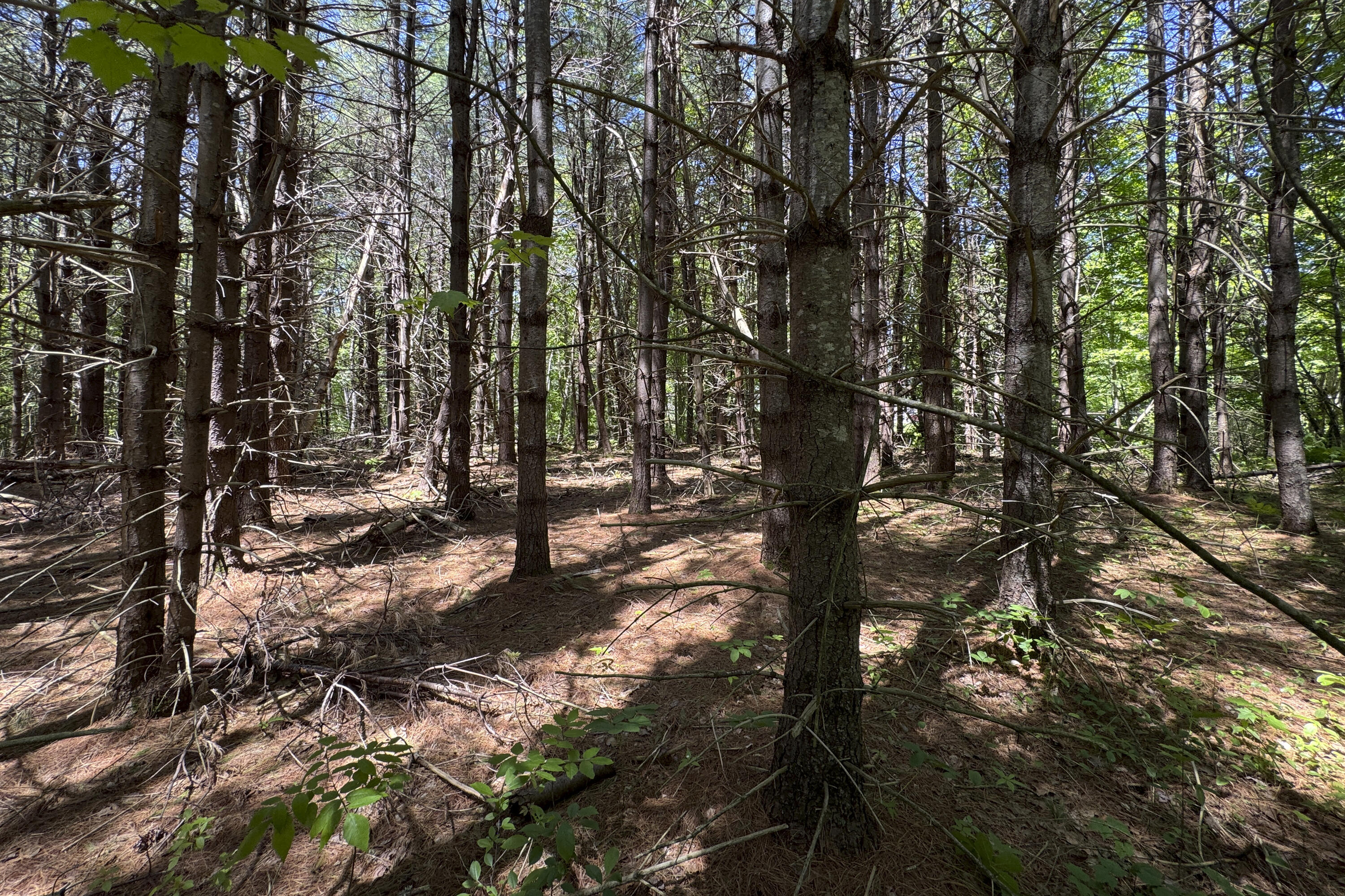lot 14 Mountain View Lane