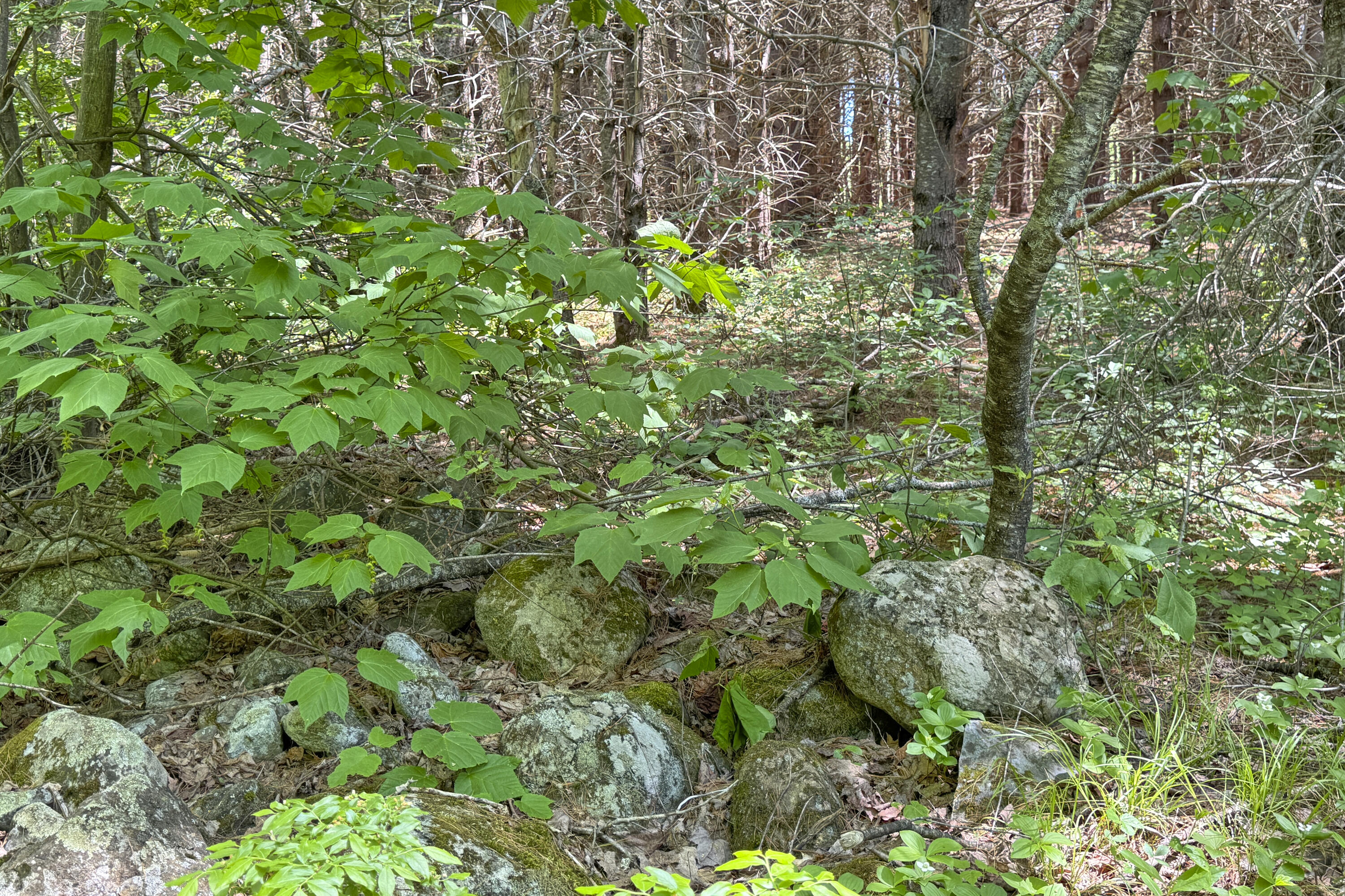 lot 23 Mountain View Lane