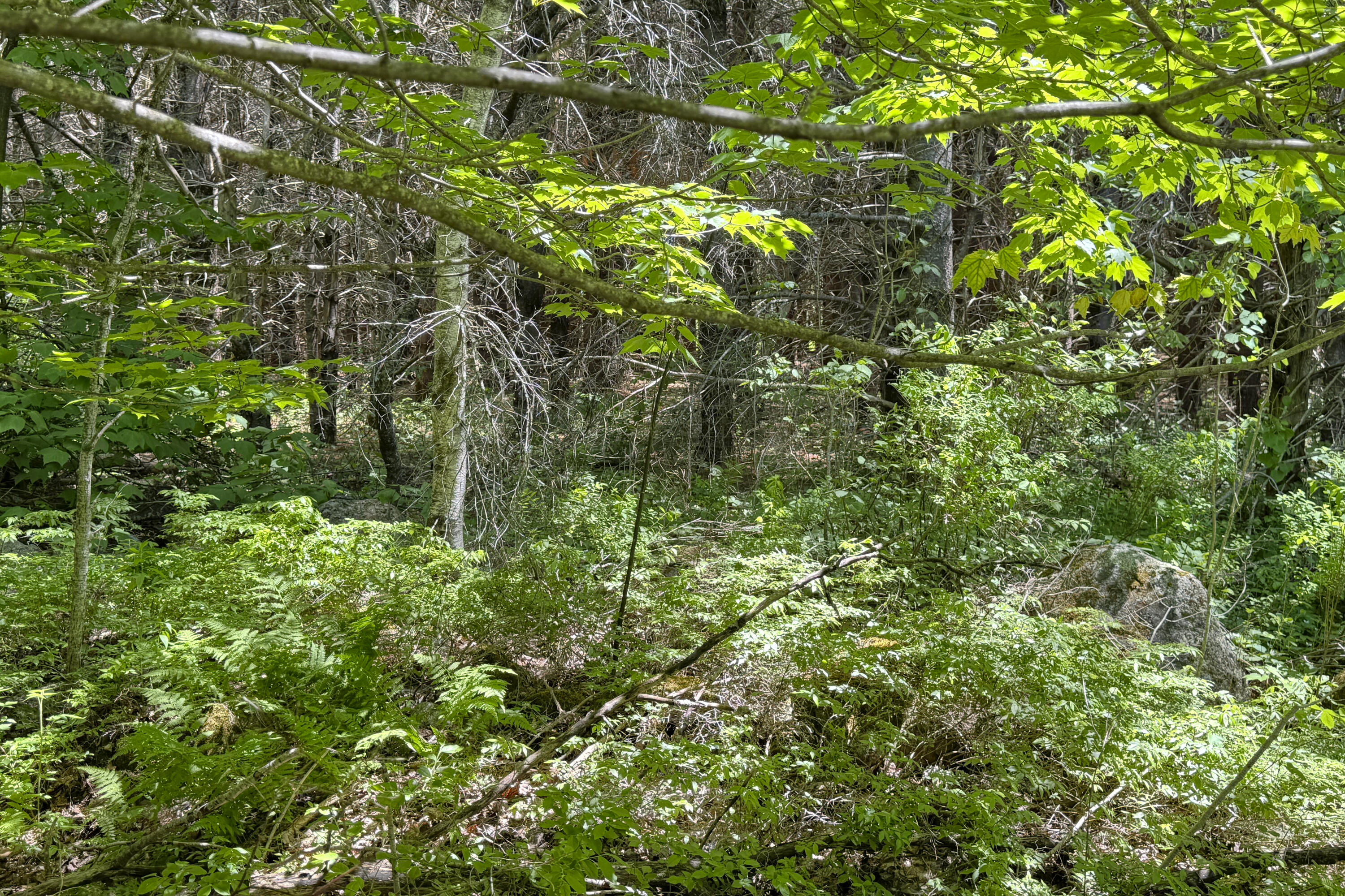 lot 23 Mountain View Lane