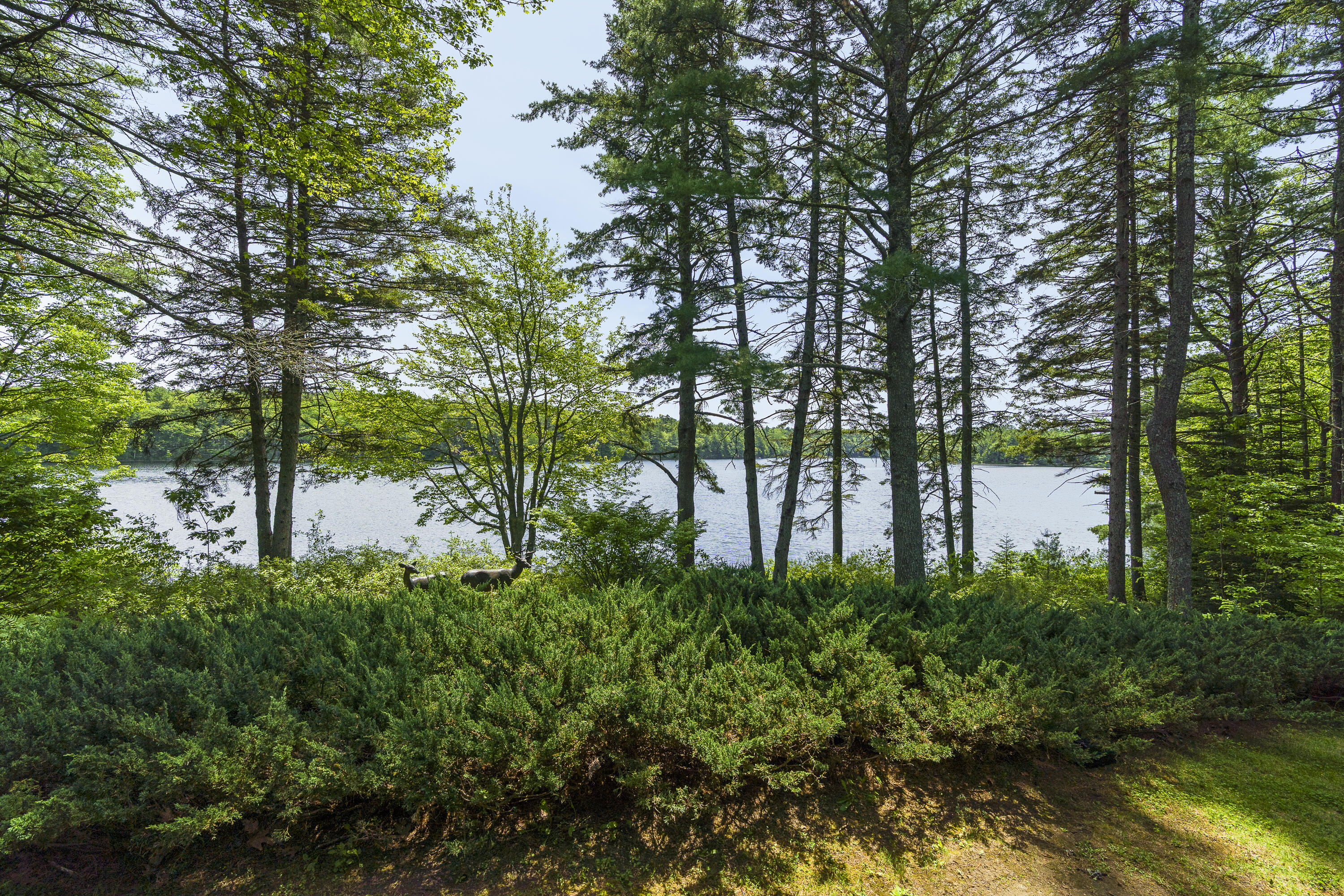 227 Quail Run Road