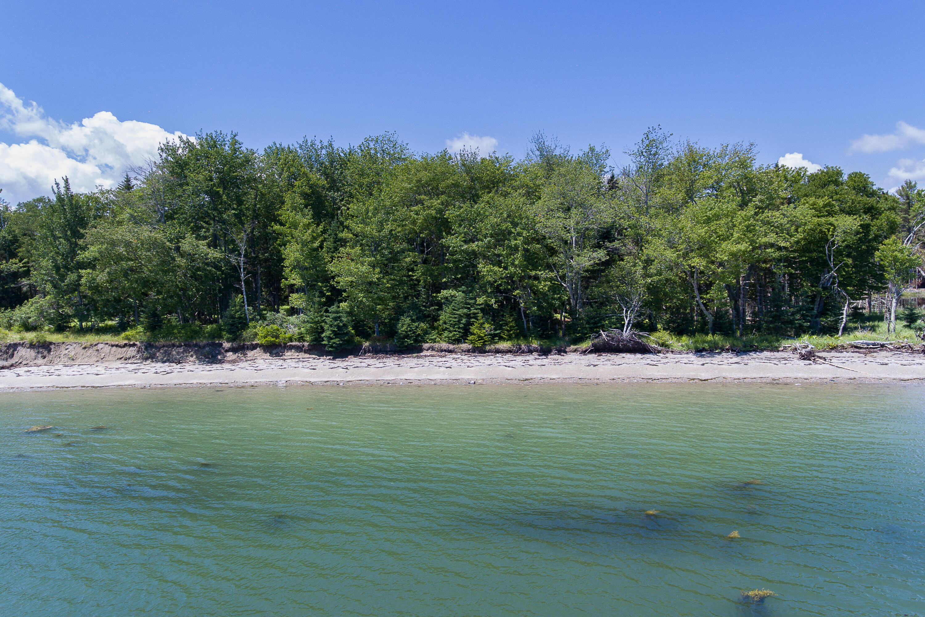 1159 Main Road