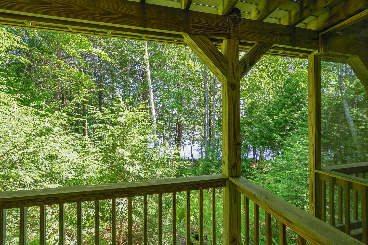 37 Albin Road