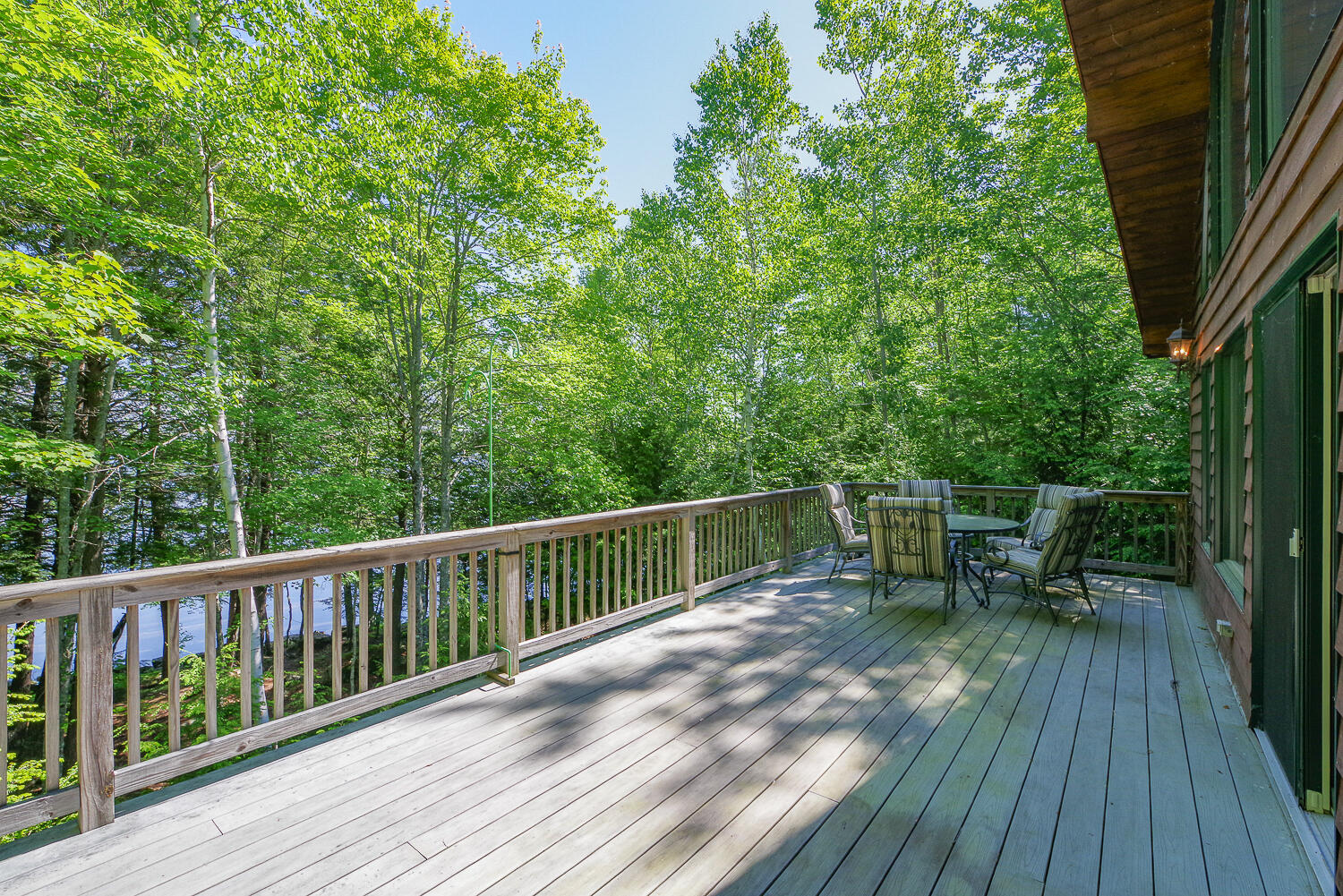 37 Albin Road