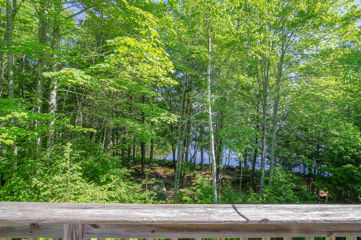 37 Albin Road