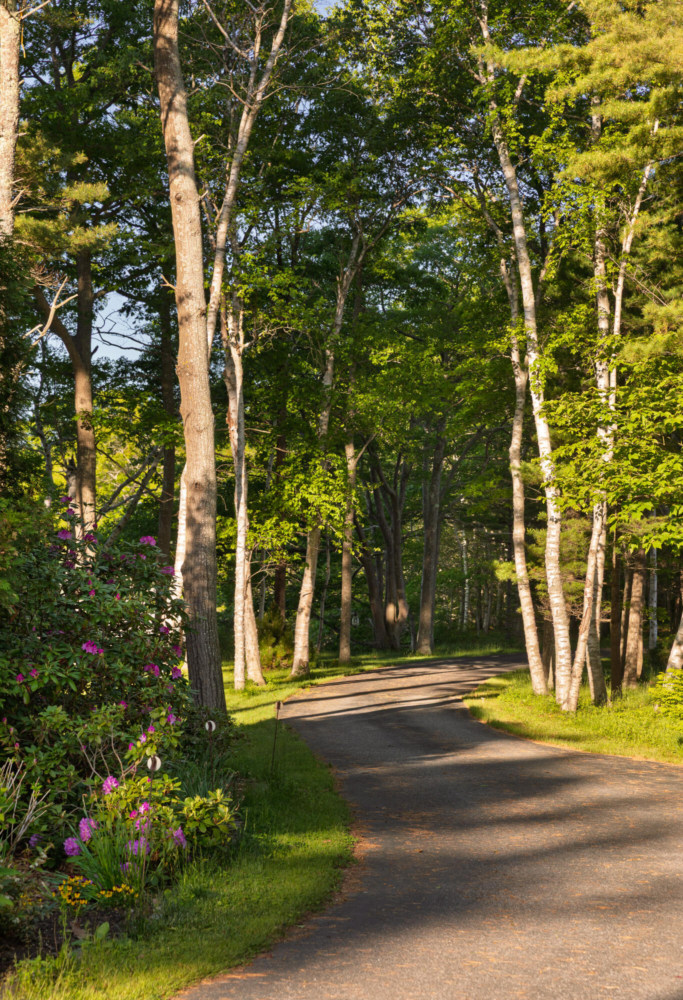 90 Cornfield Point Road