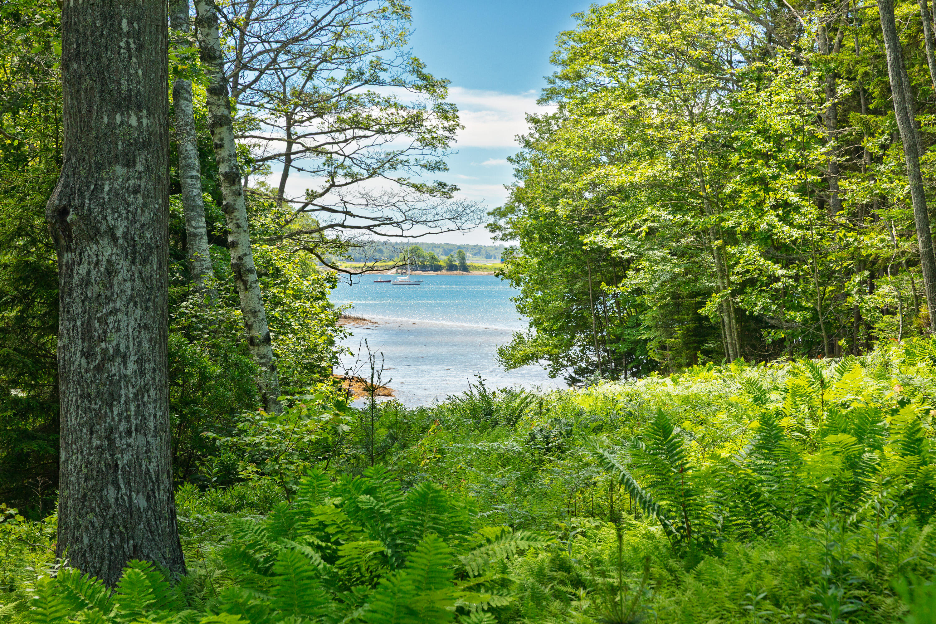 766 Pleasant Point Road
