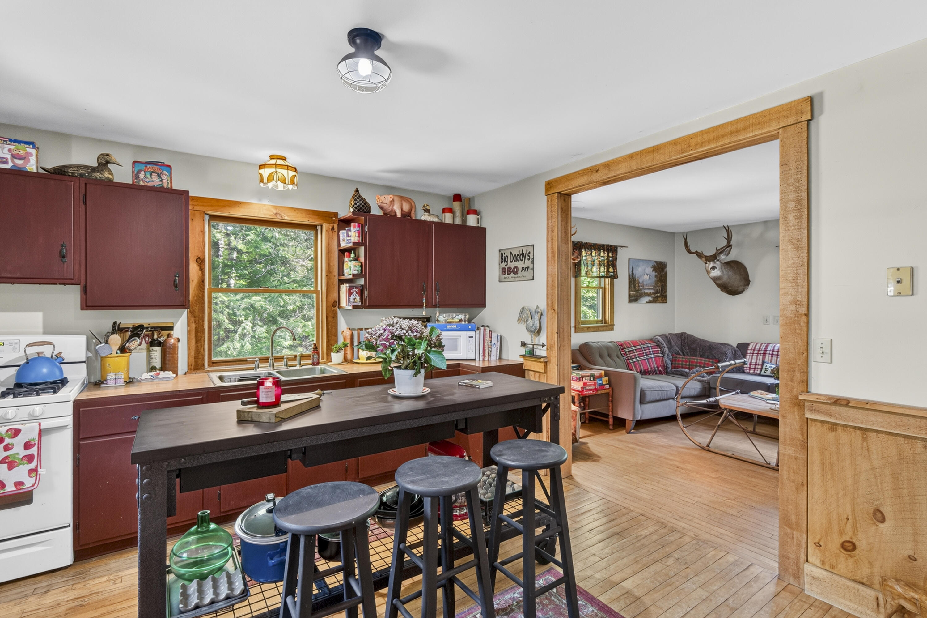 169 Patrick Mountain Lane
