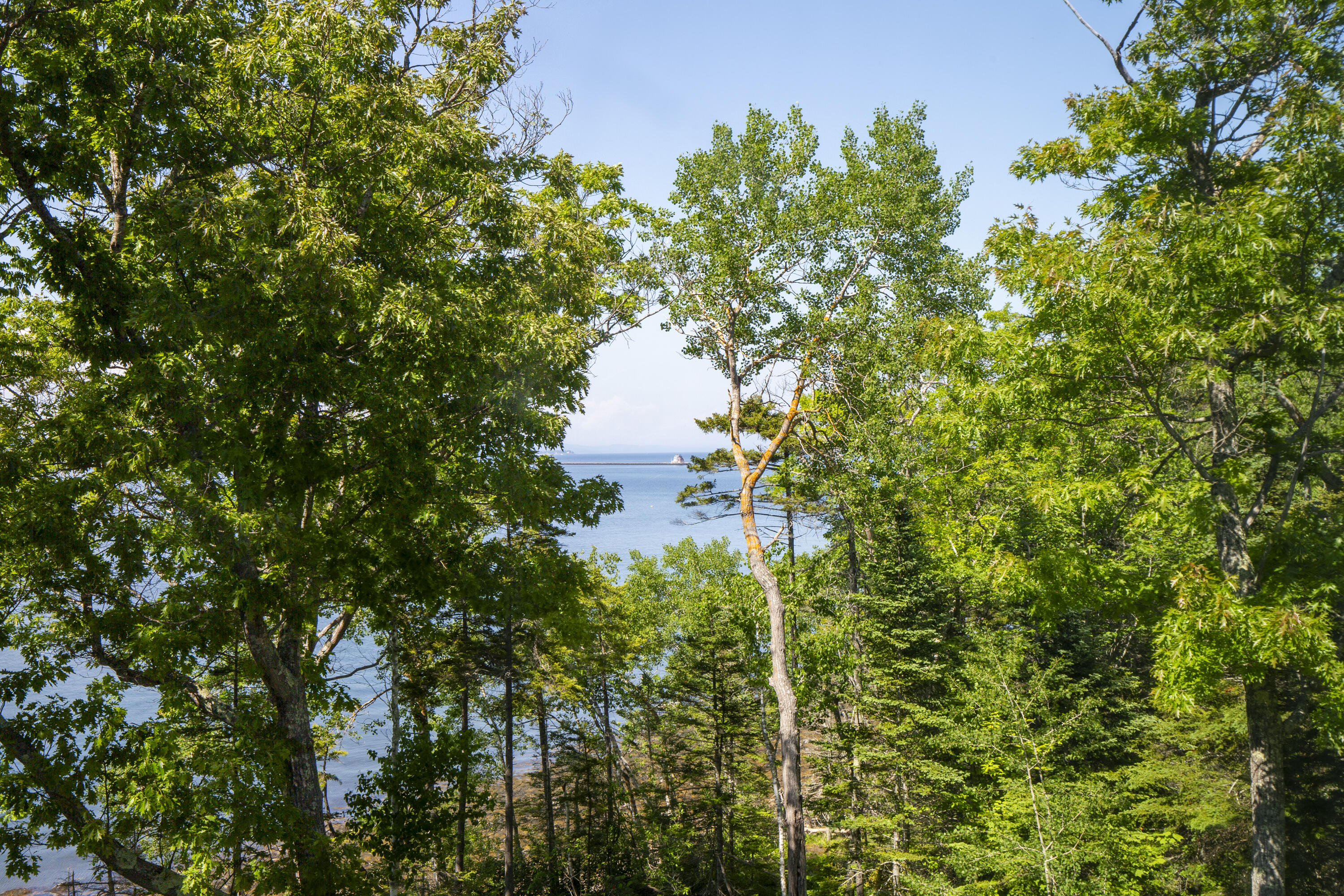 20 Windswept Way