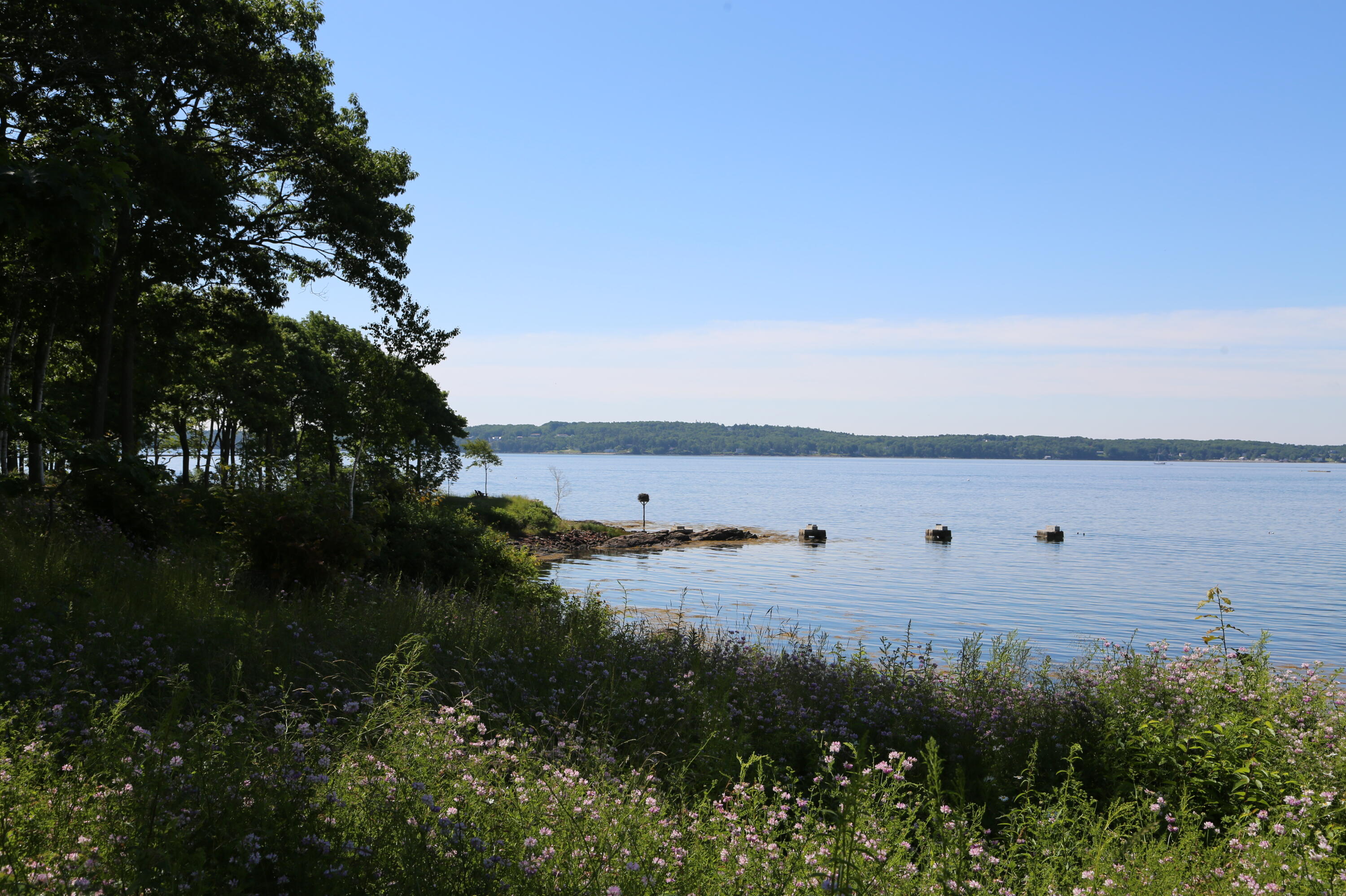 49 Jameson Point Road 22