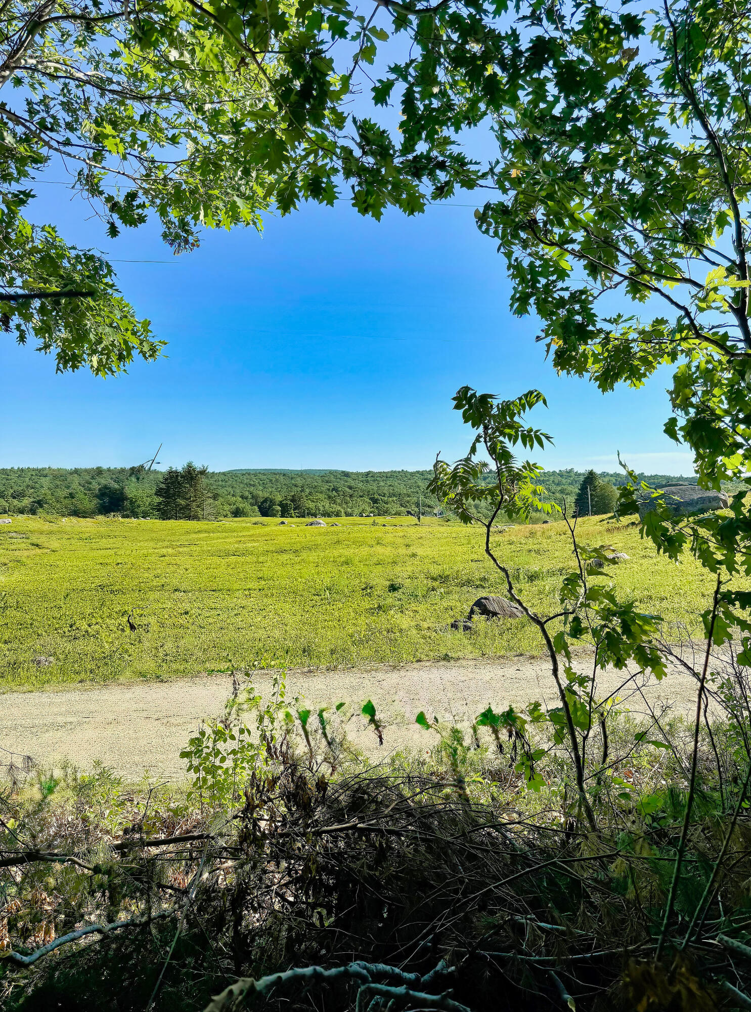 519 Snow's Cove Road
