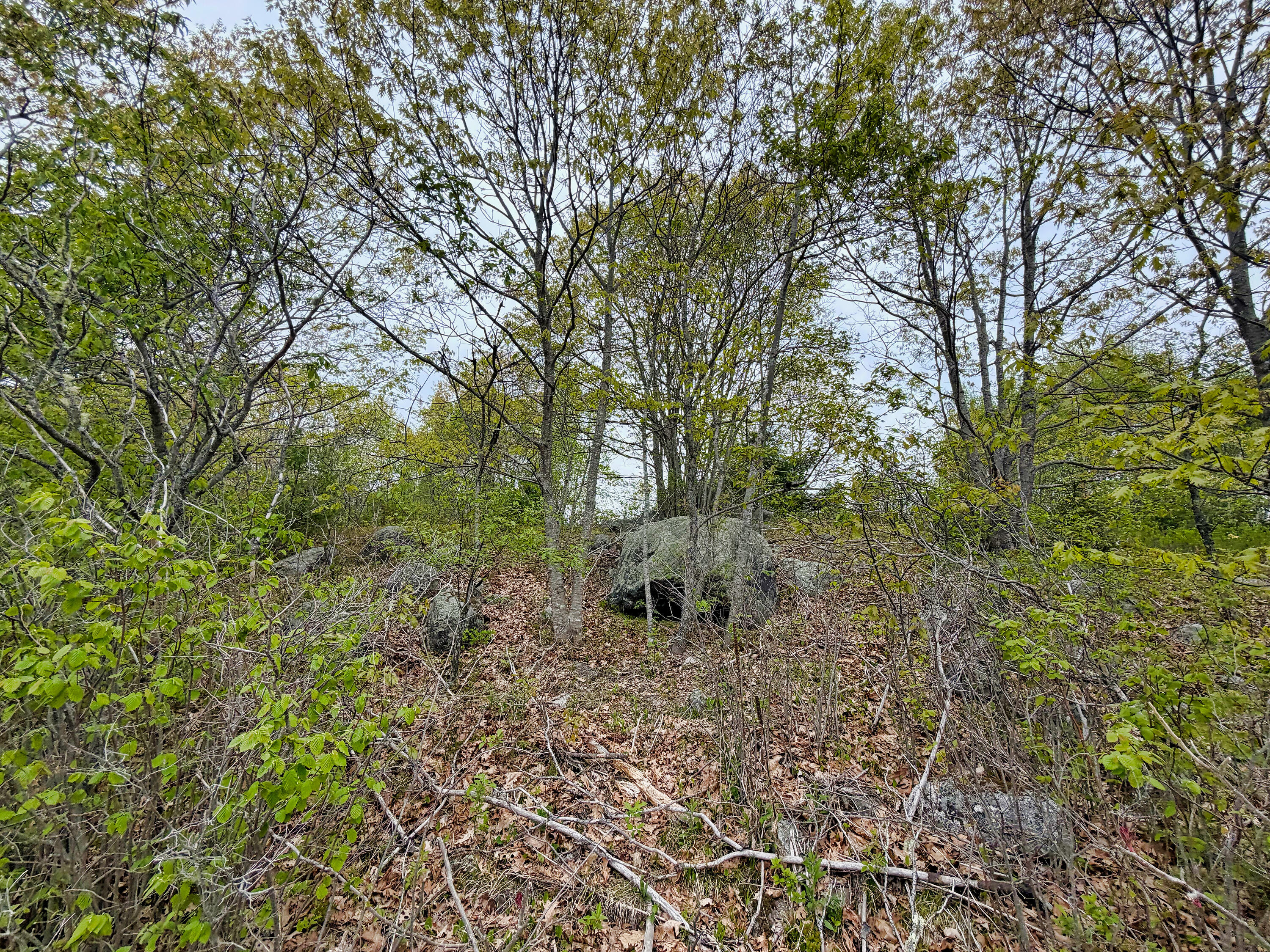 519 Snow's Cove Road