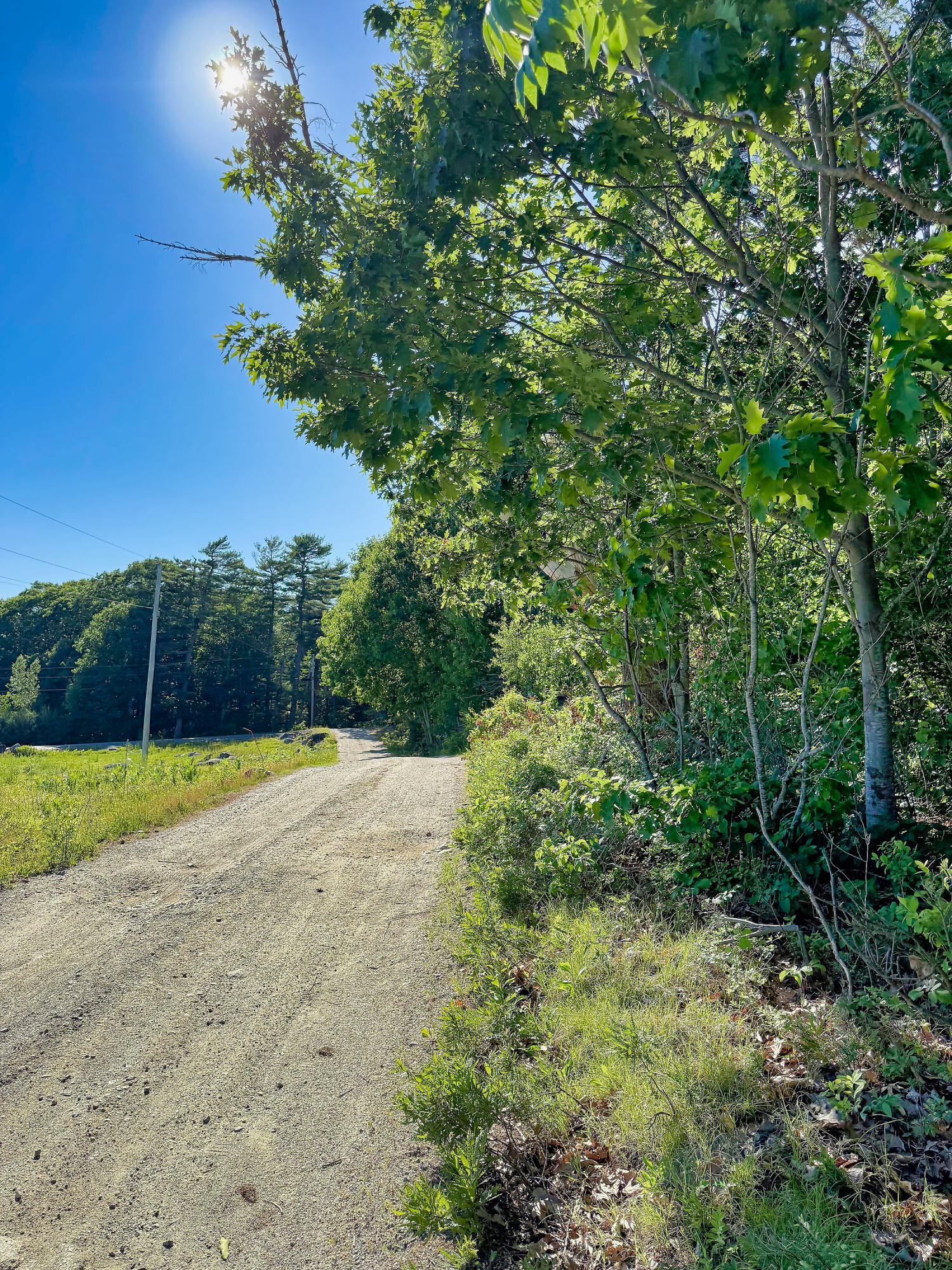 519 Snow's Cove Road