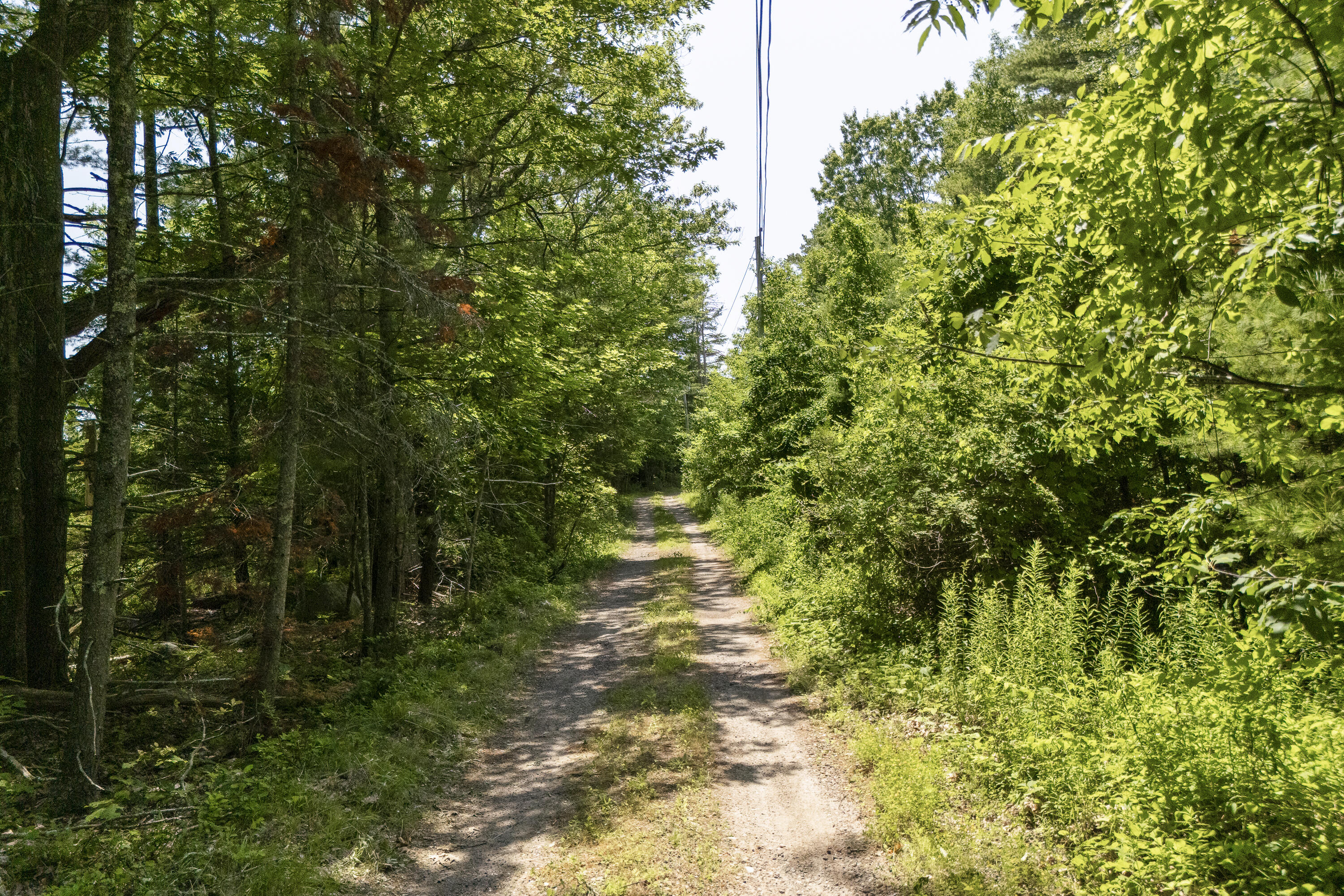 14 Ash Swamp Road