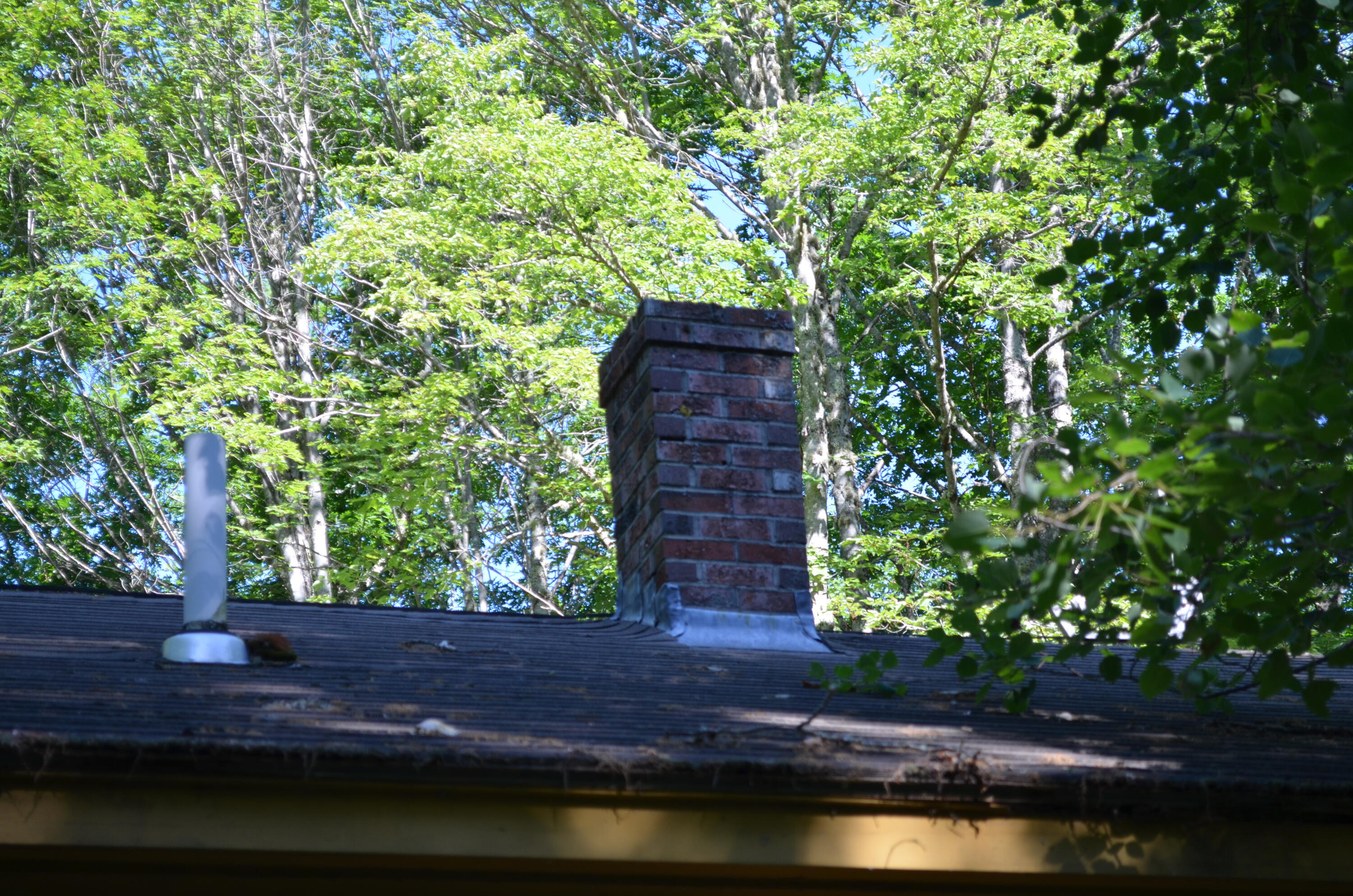 503 W Neck Road