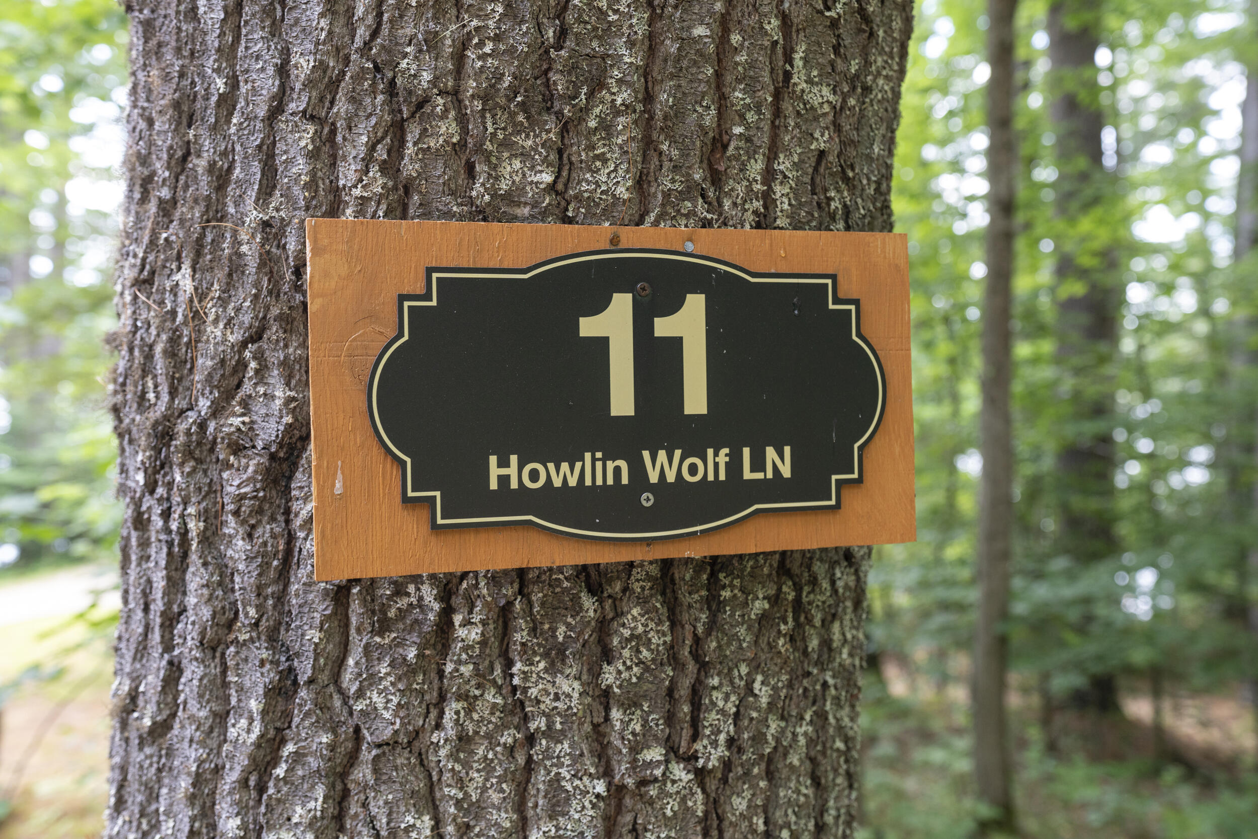 11 Howlin Wolf Lane