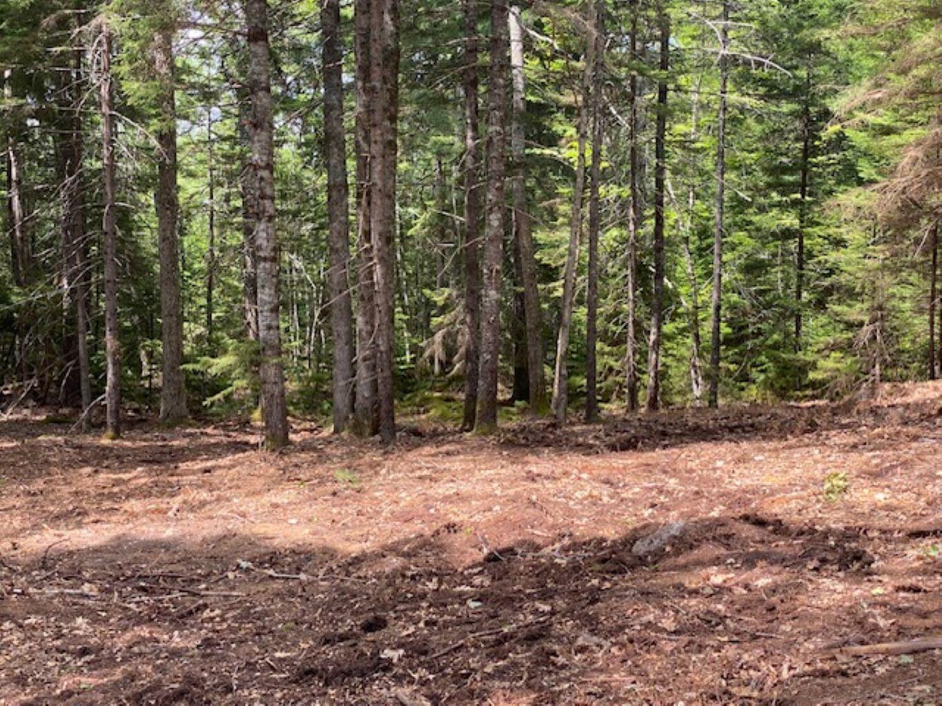 Lot 6 Bunchberry Lane