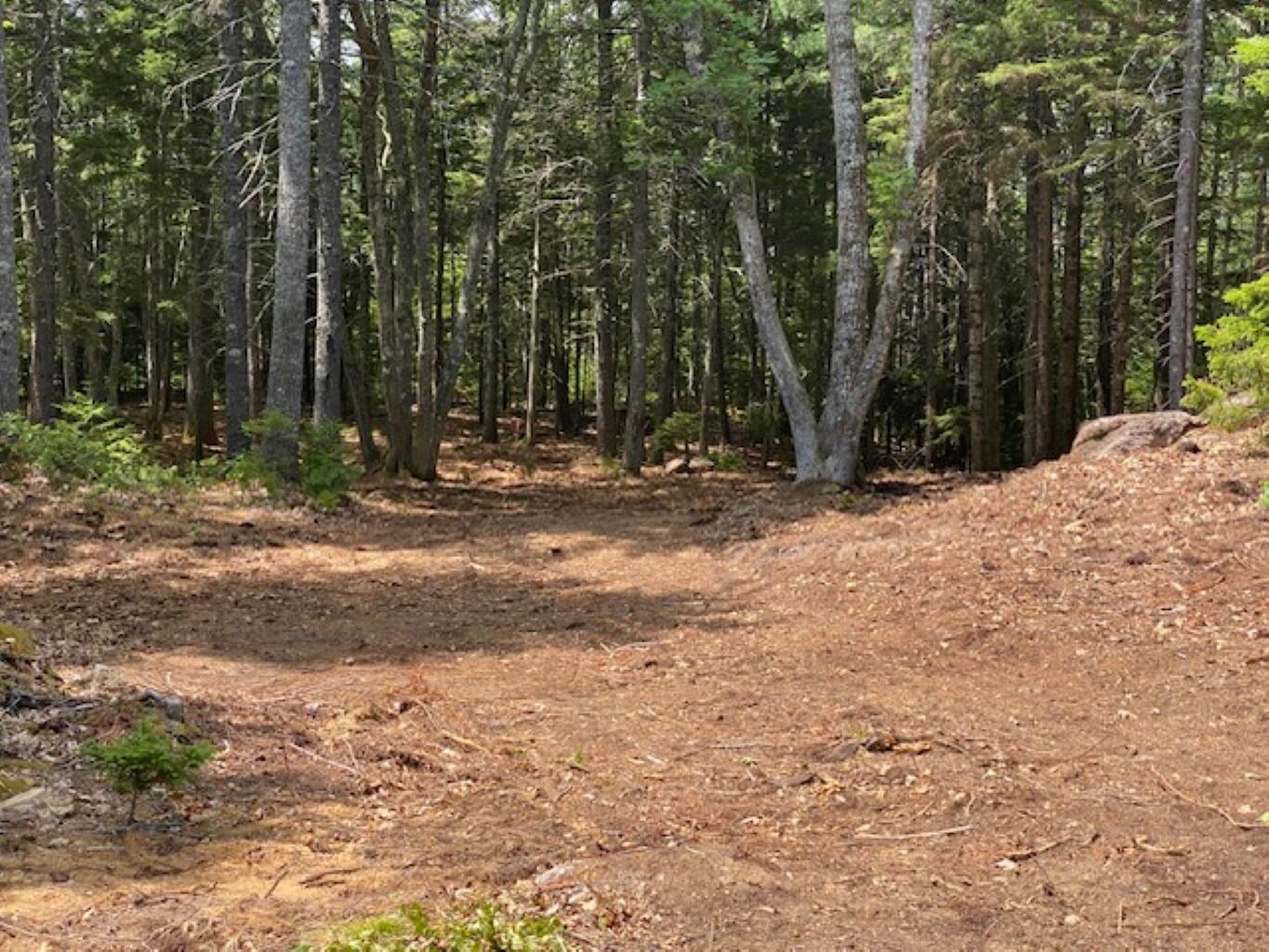 Lot 6 Bunchberry Lane