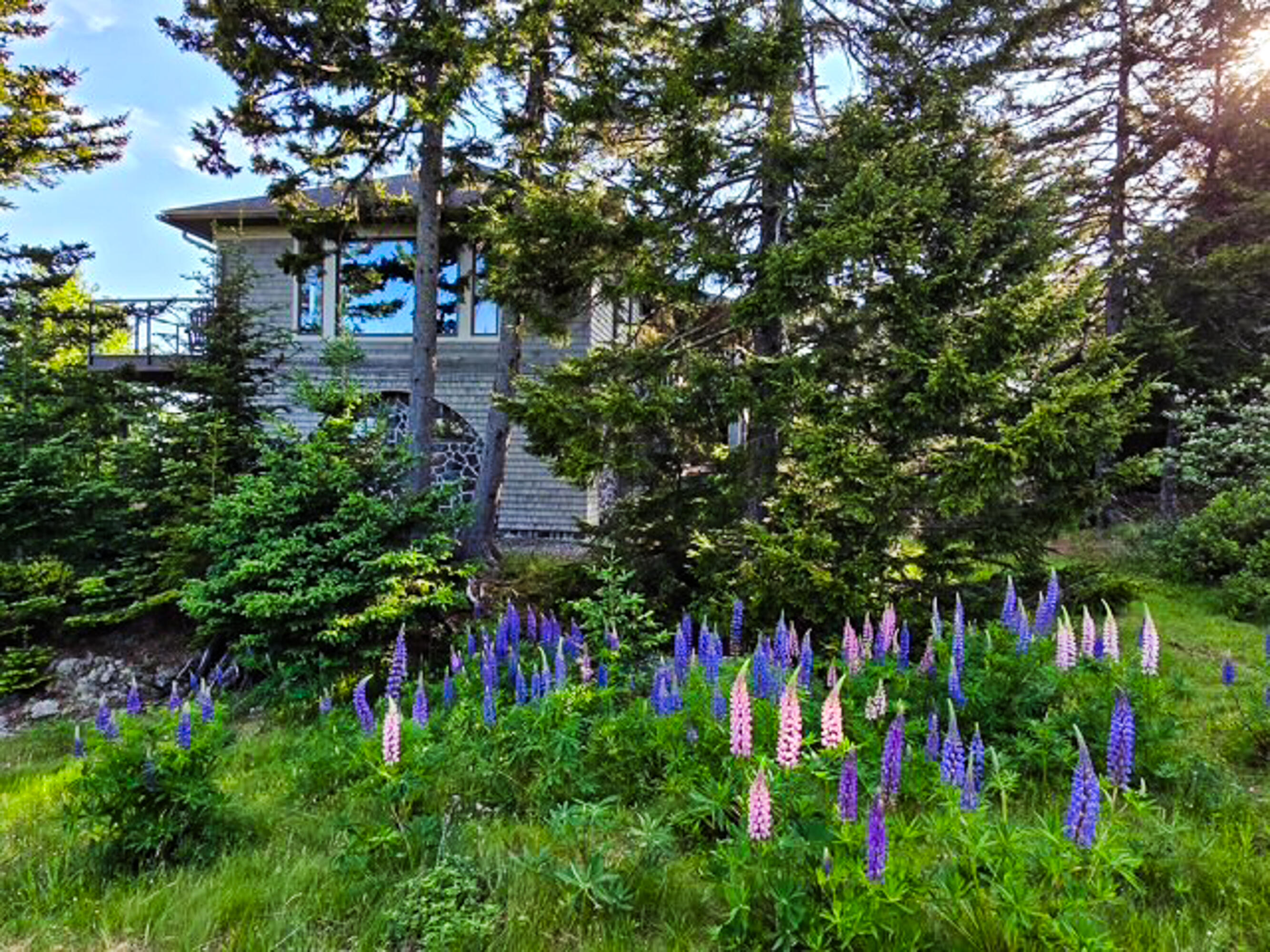 271 Ames Cove Road
