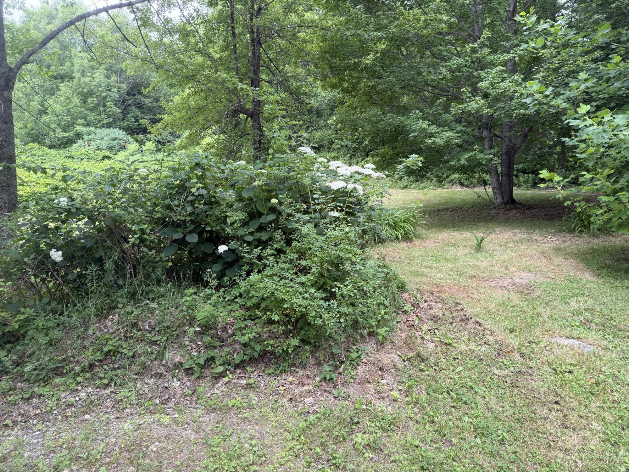 371 E Neck Road