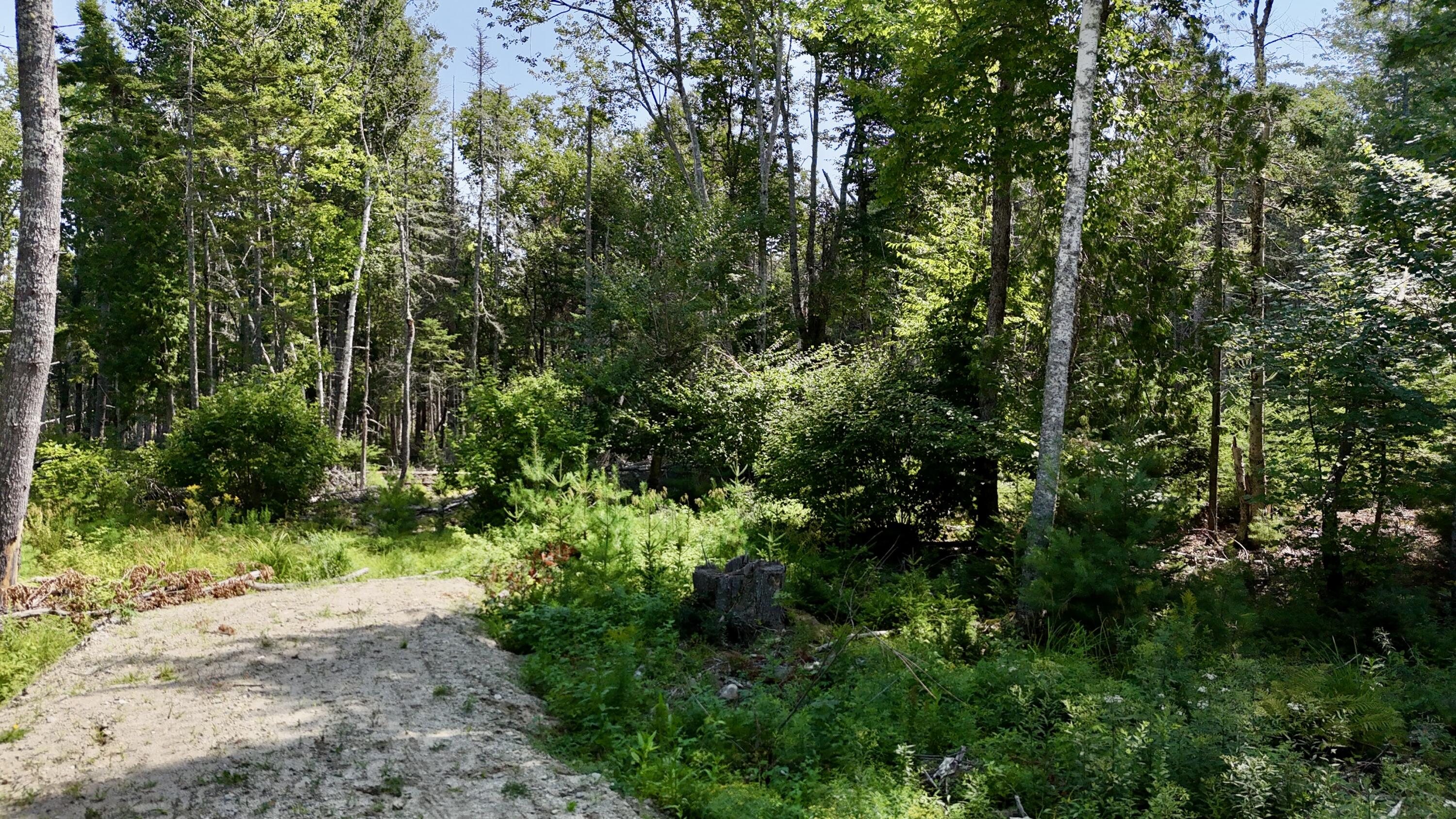 M08 L044-D Flye Point Road