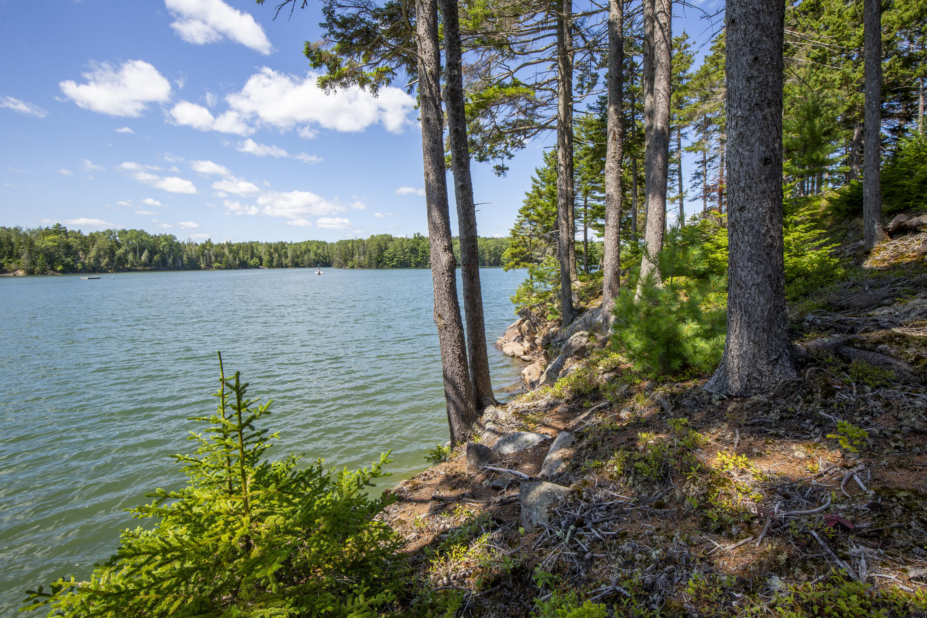 54 Ocean Ridge Road