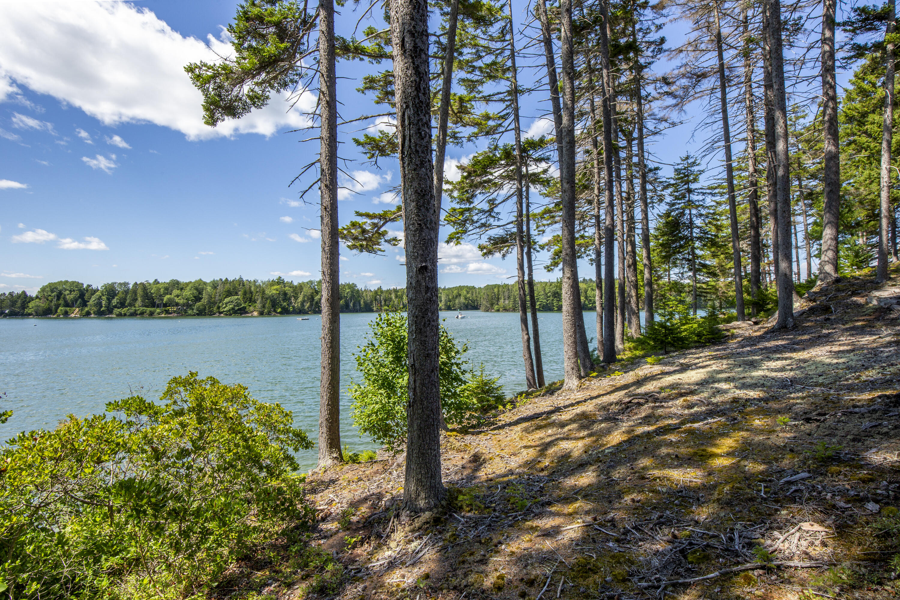 54 Ocean Ridge Road