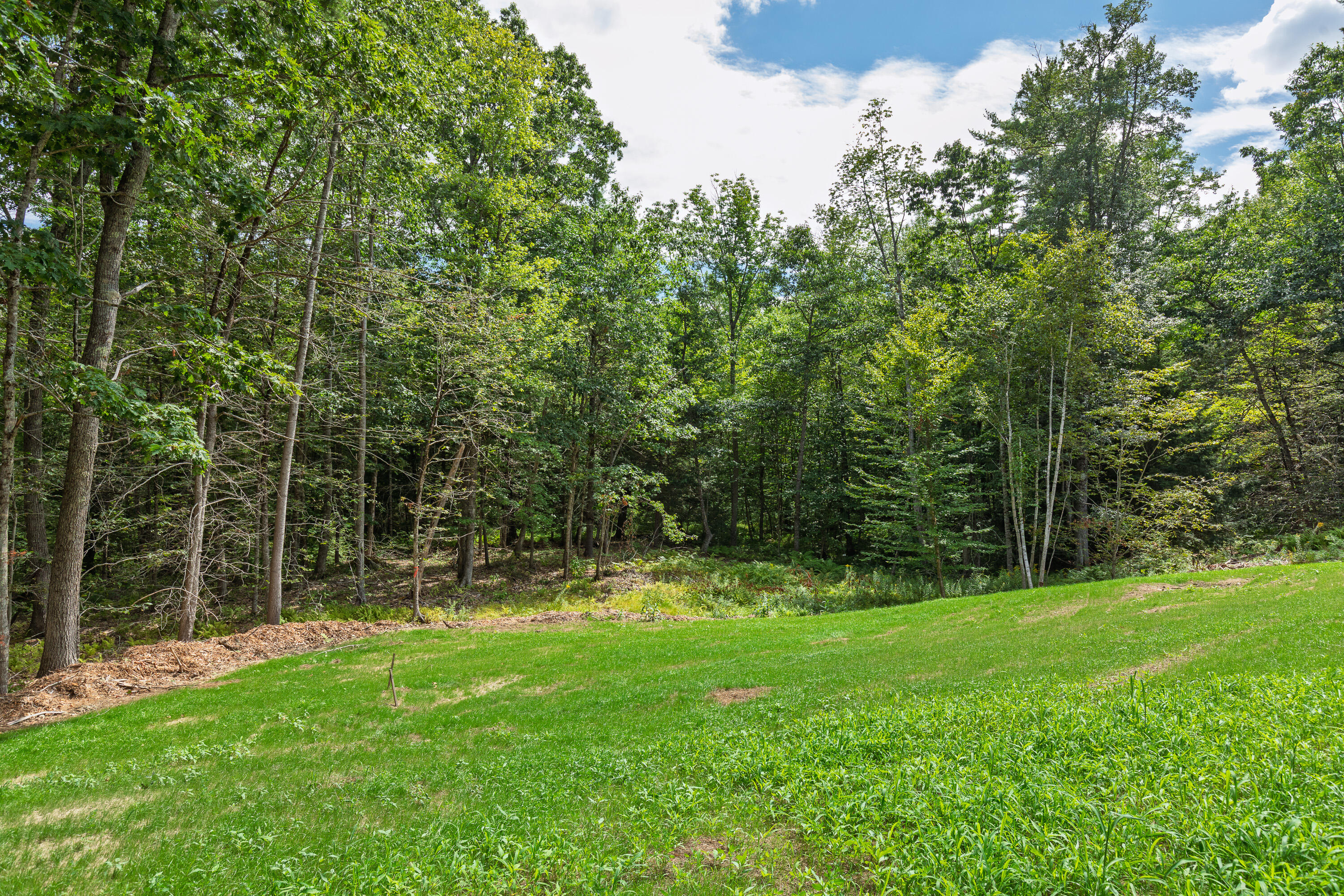 61 Cramer Road