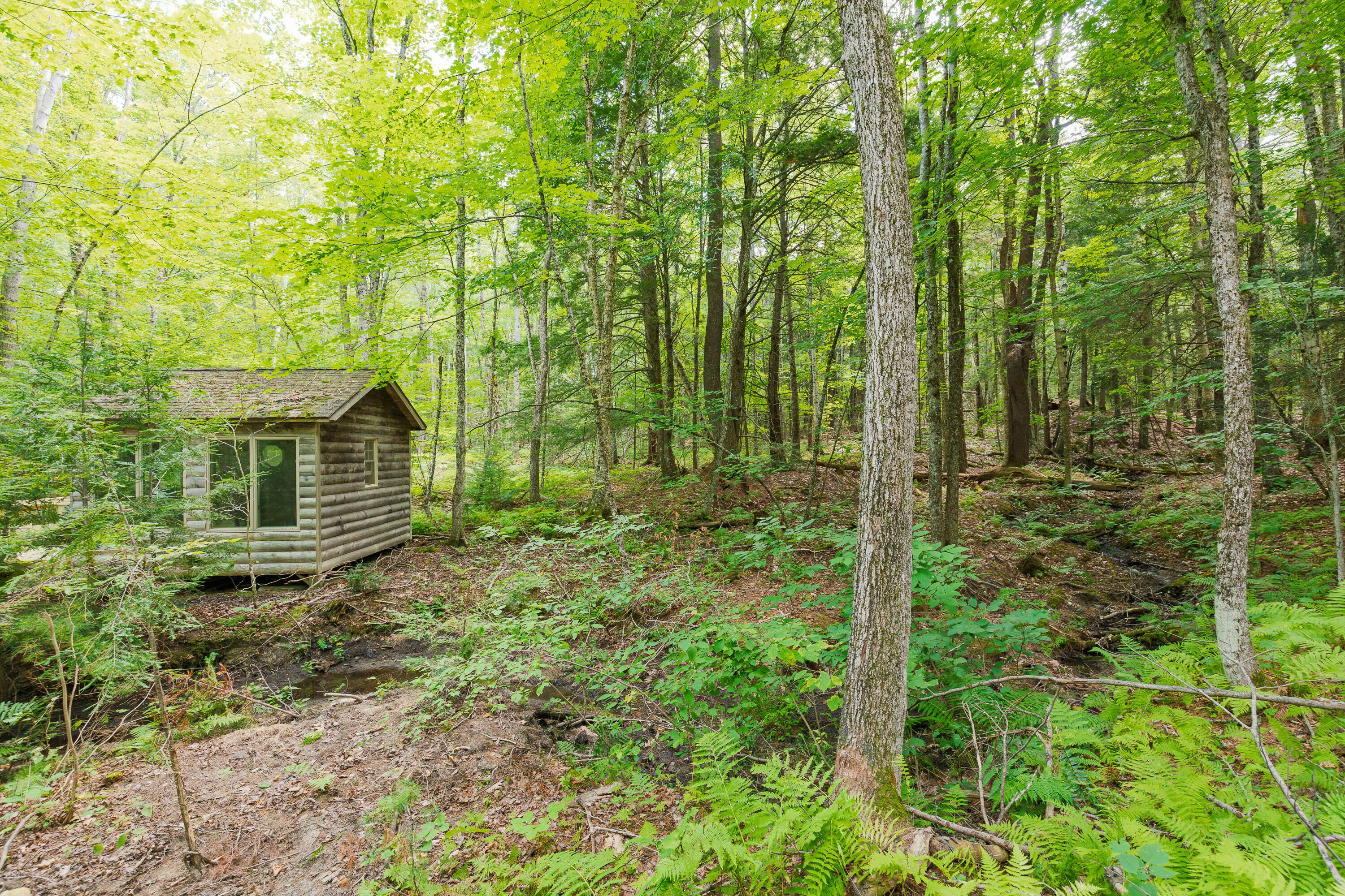 61 Cramer Road