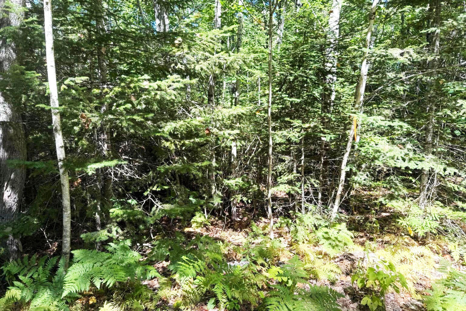 Lot 00500E West Hamlet Road