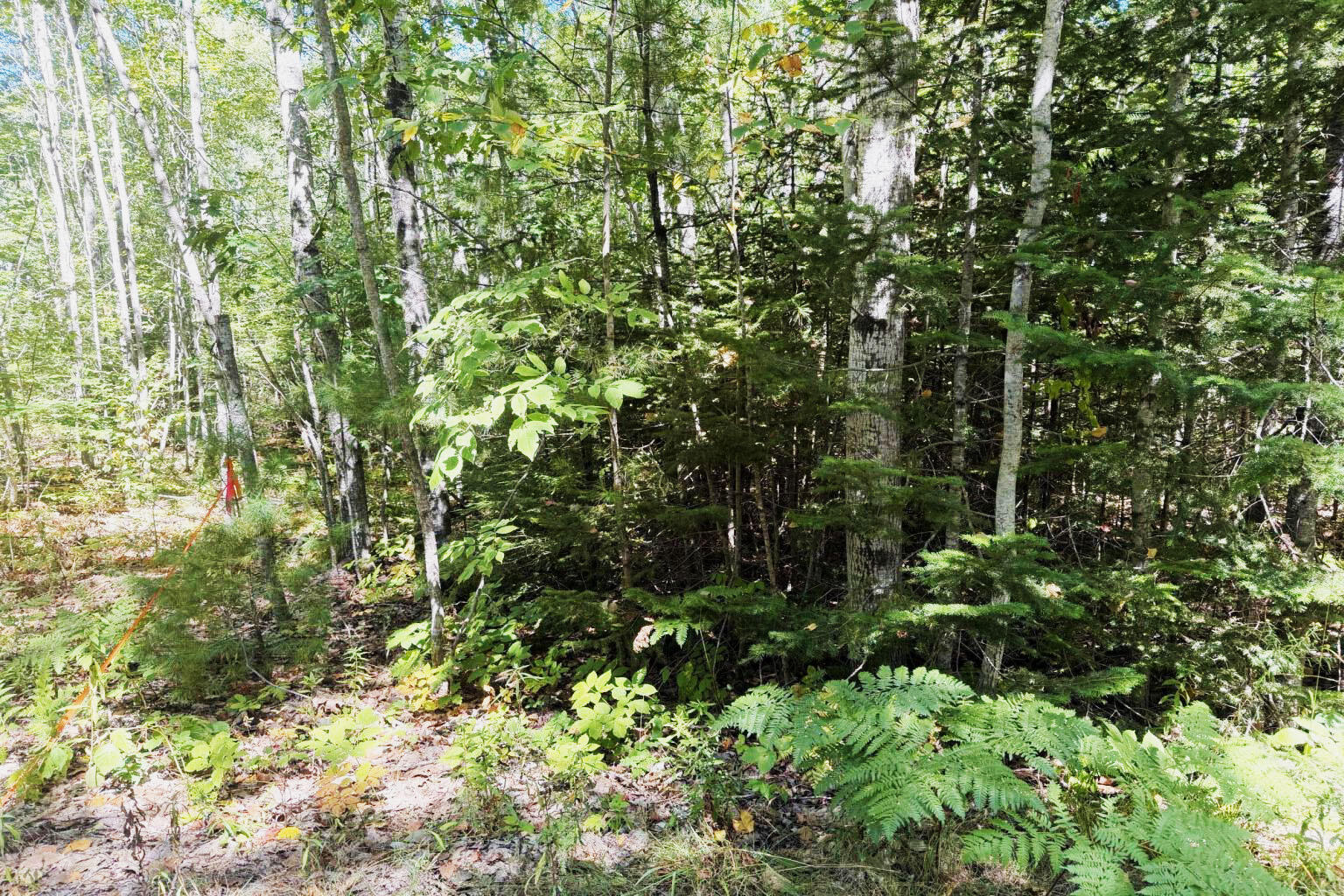 Lot 00500E West Hamlet Road