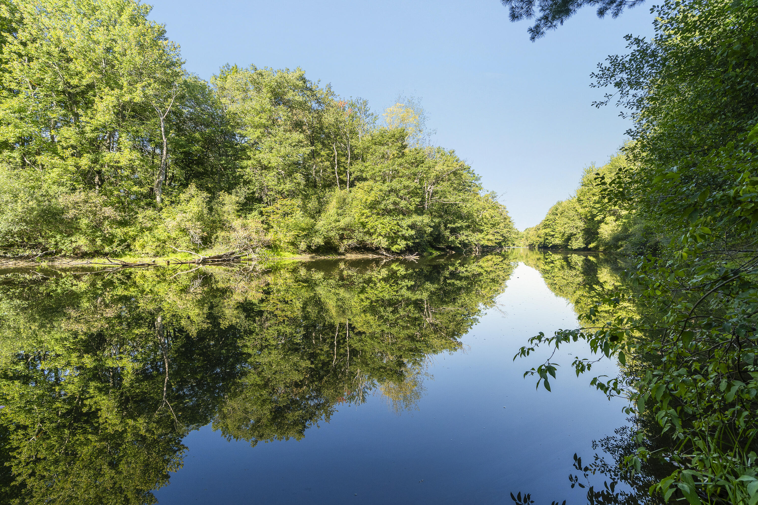 8 Riverbend Drive 8