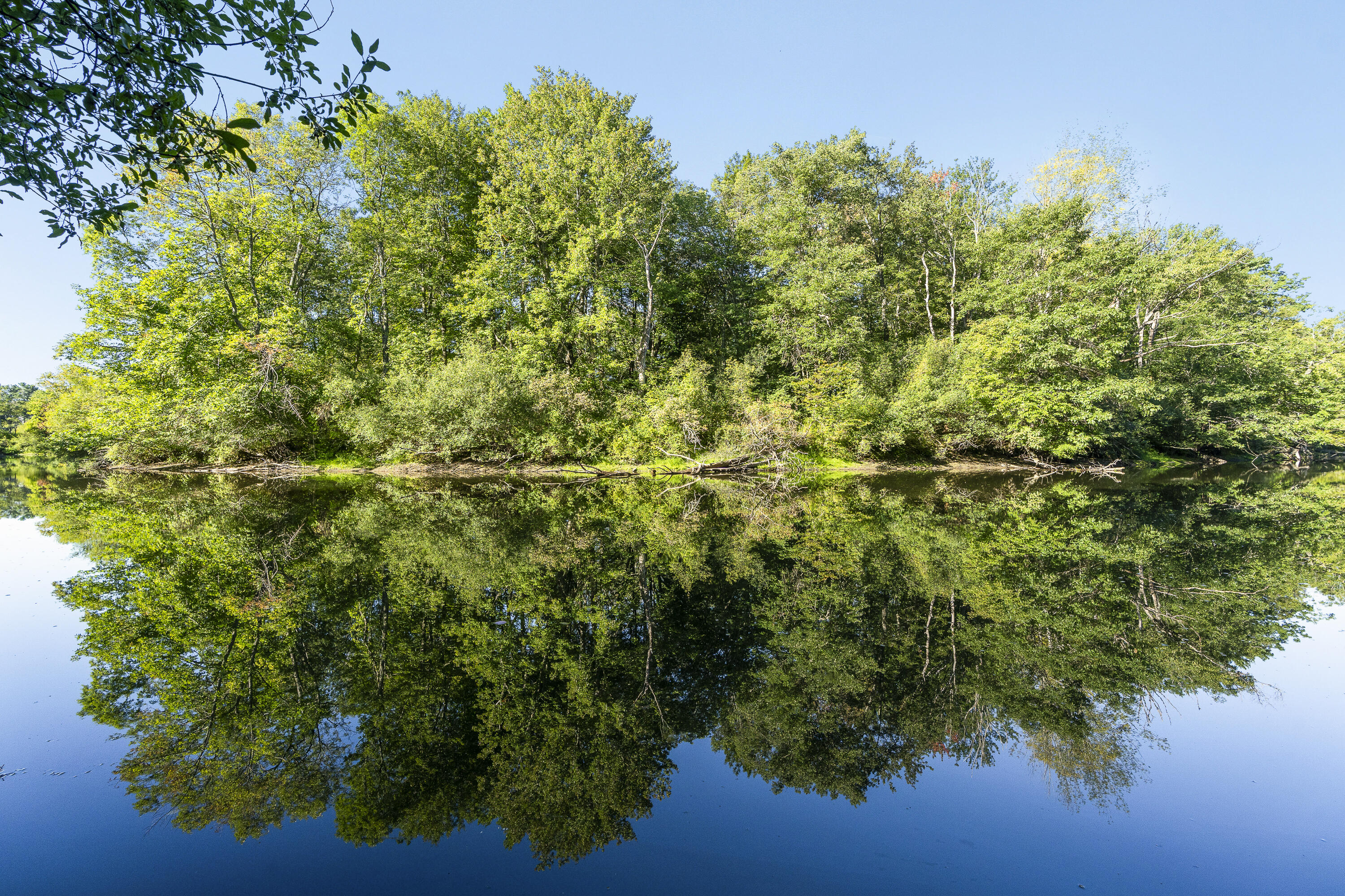 8 Riverbend Drive 8