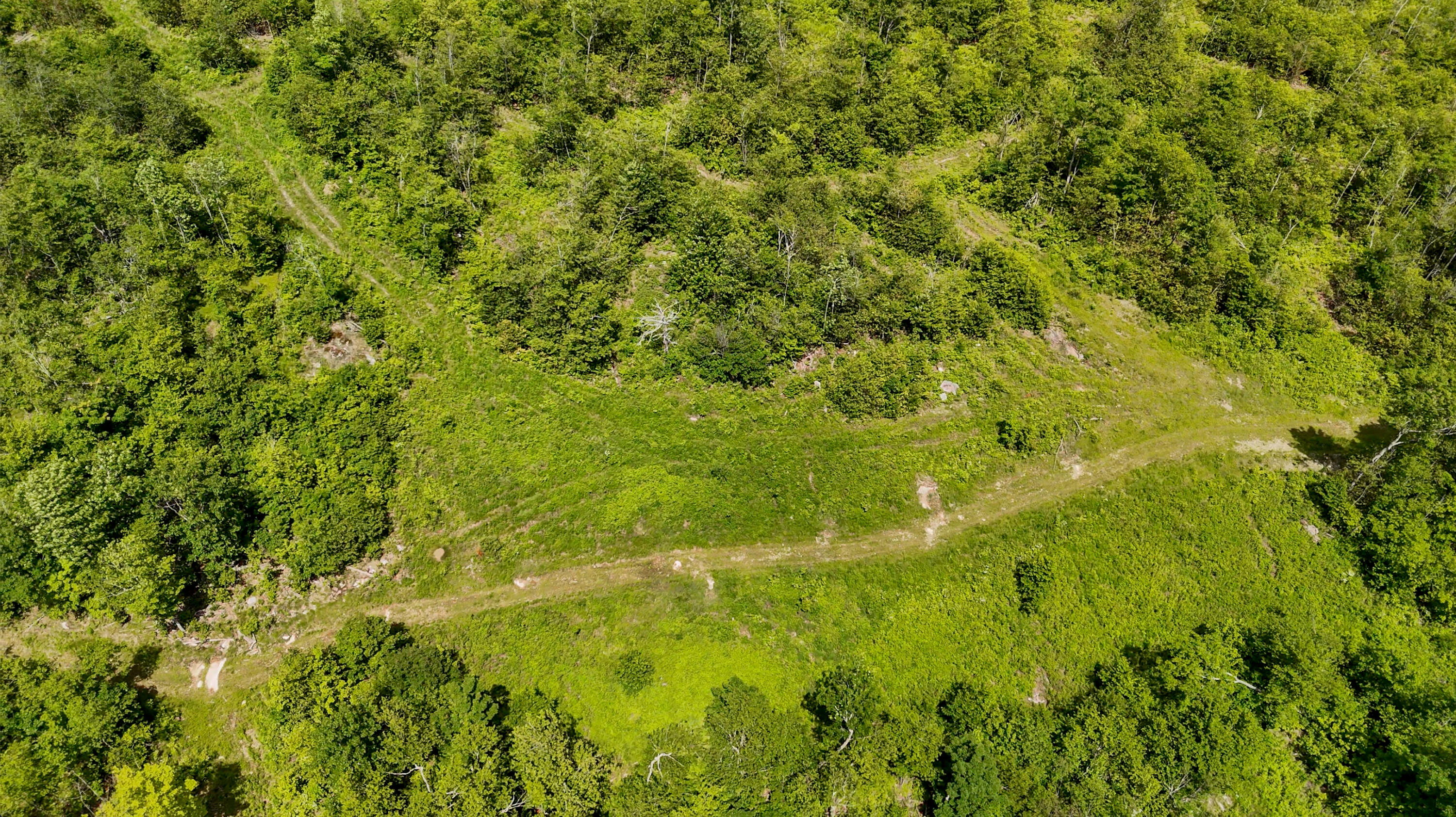 775 Old County Road
