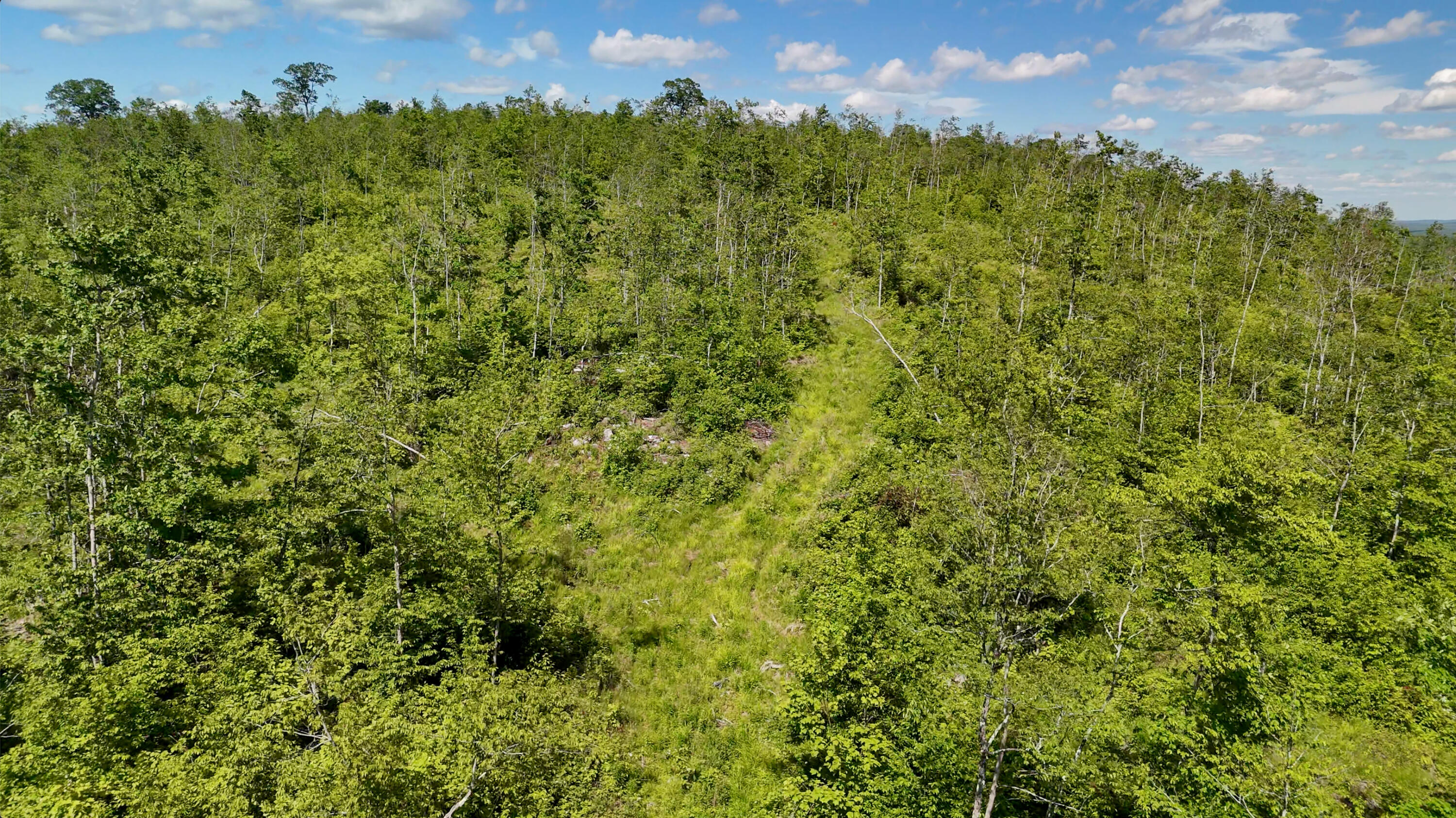 775 Old County Road