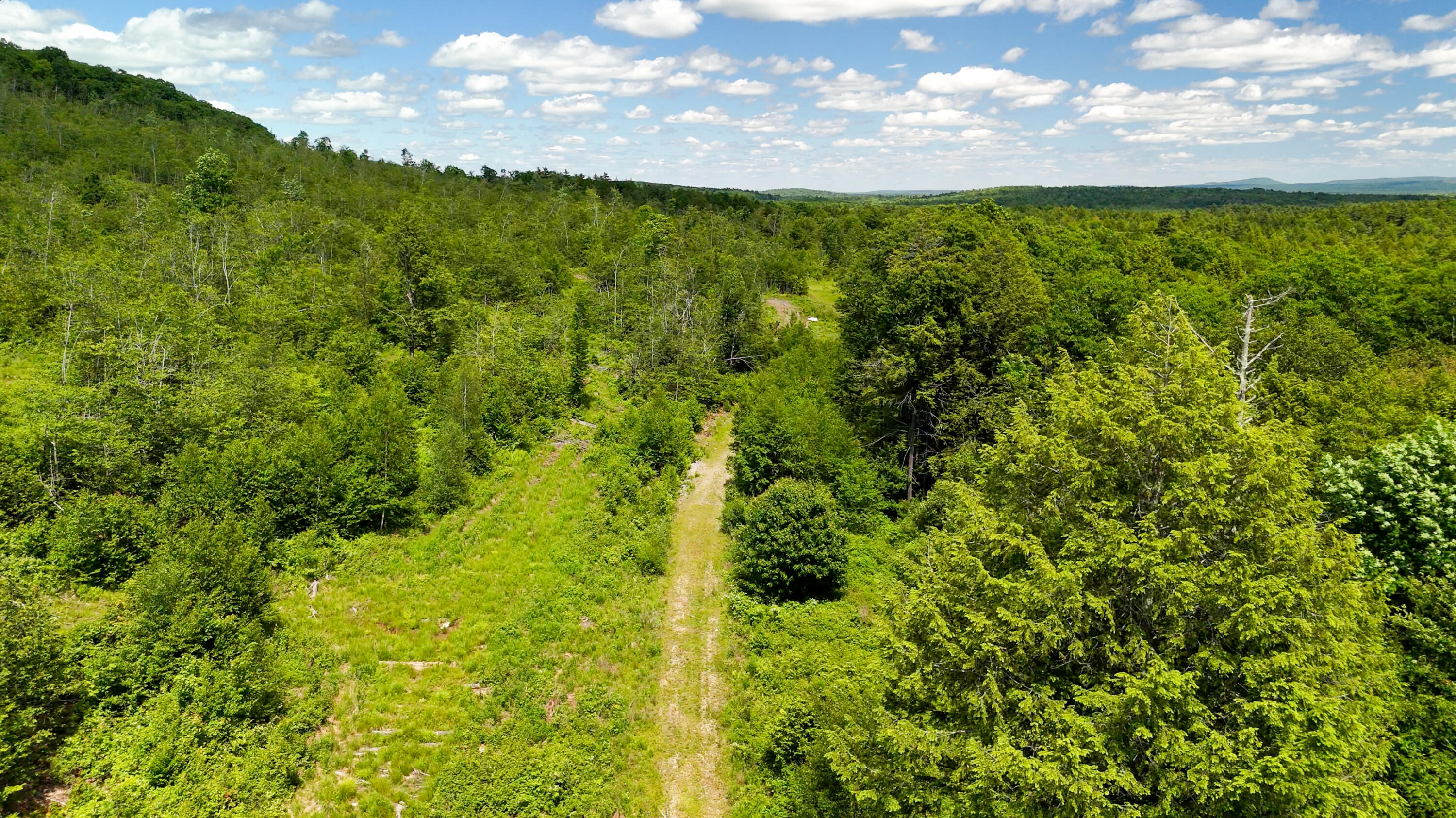 775 Old County Road